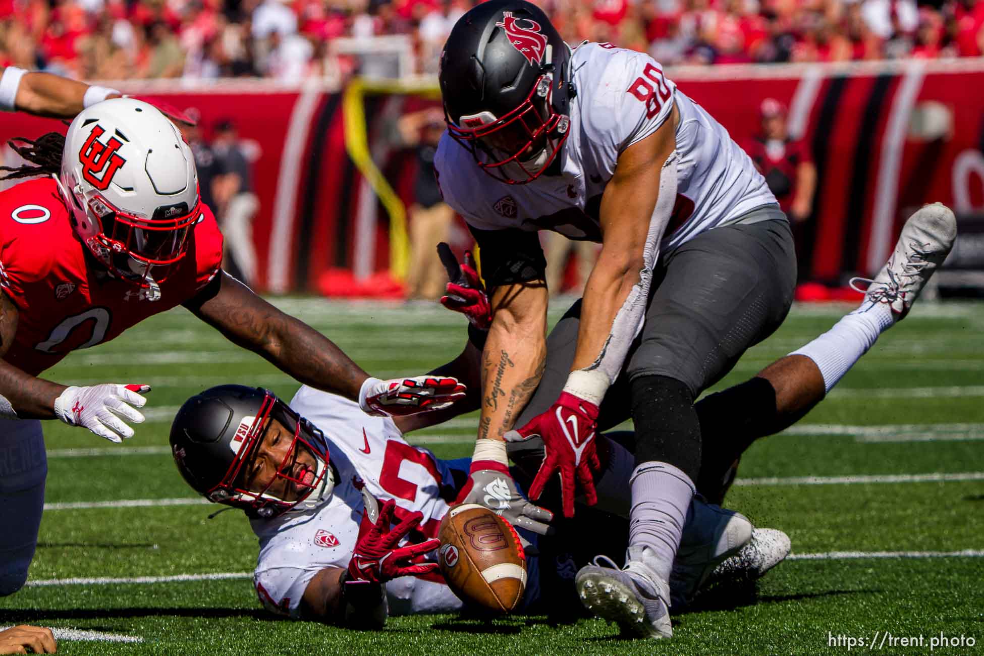 (Trent Nelson  |  The Salt Lake Tribune) Washington State recovers a ball stripped from Utah Utes quarterback Ja'Quinden Jackson (3) as the University of Utah hosts Washington State, NCAA football in Salt Lake City on Saturday, Sept. 25, 2021.