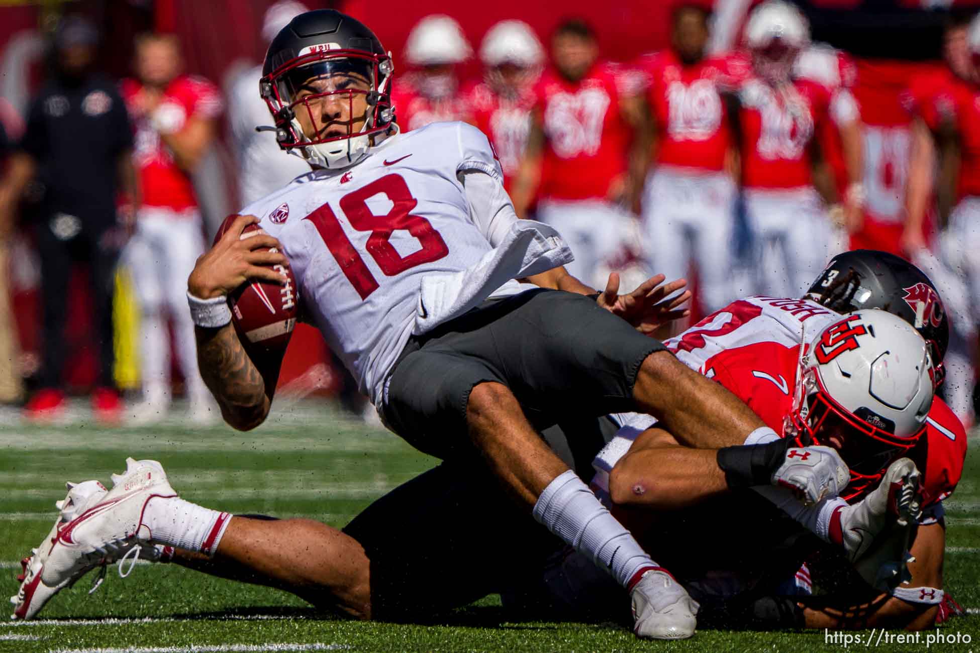 (Trent Nelson  |  The Salt Lake Tribune) Utah Utes defensive end Van Fillinger (7); sacks Washington State Cougars quarterback Jarrett Guarantano (18) as the University of Utah hosts Washington State, NCAA football in Salt Lake City on Saturday, Sept. 25, 2021.