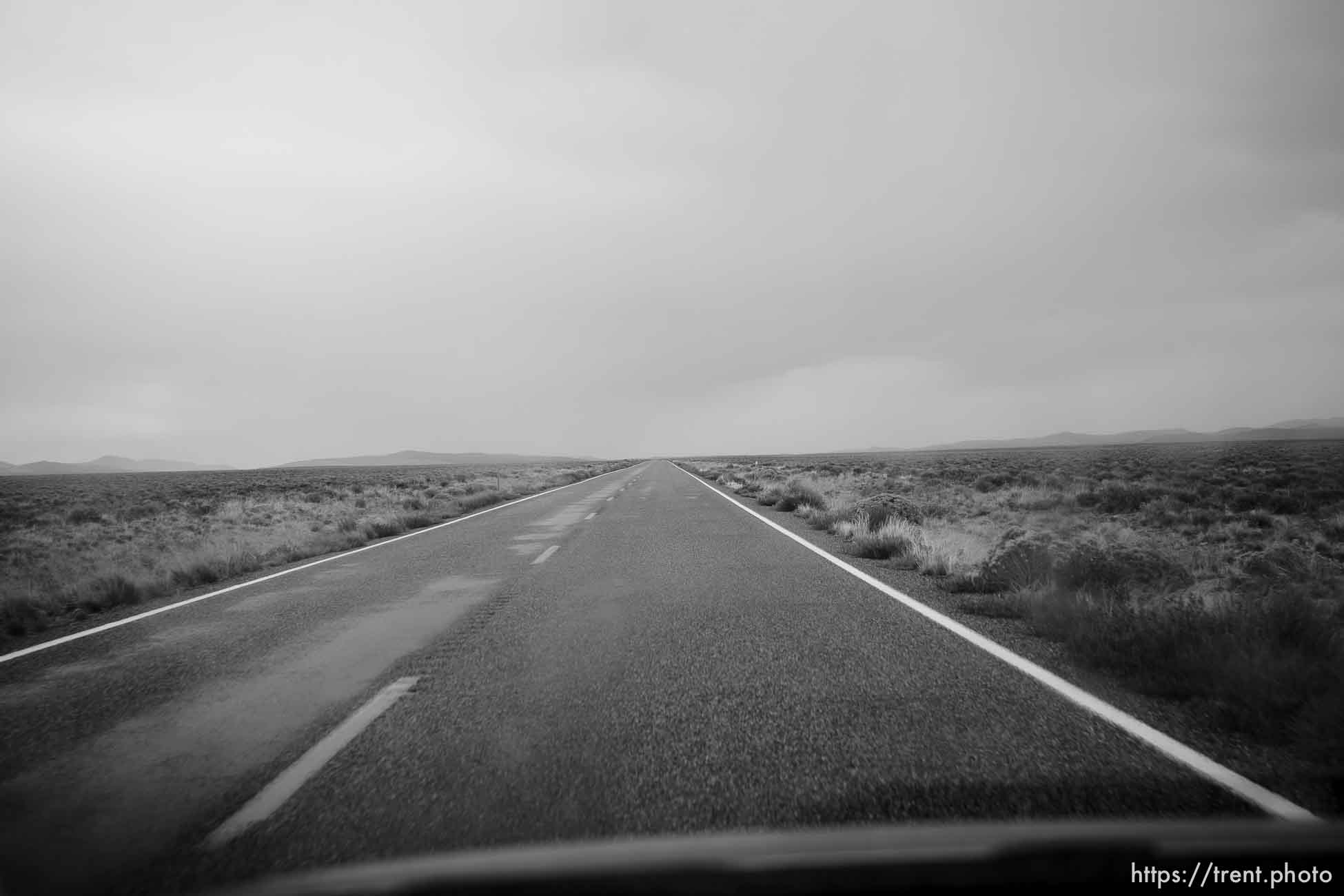 Windshield