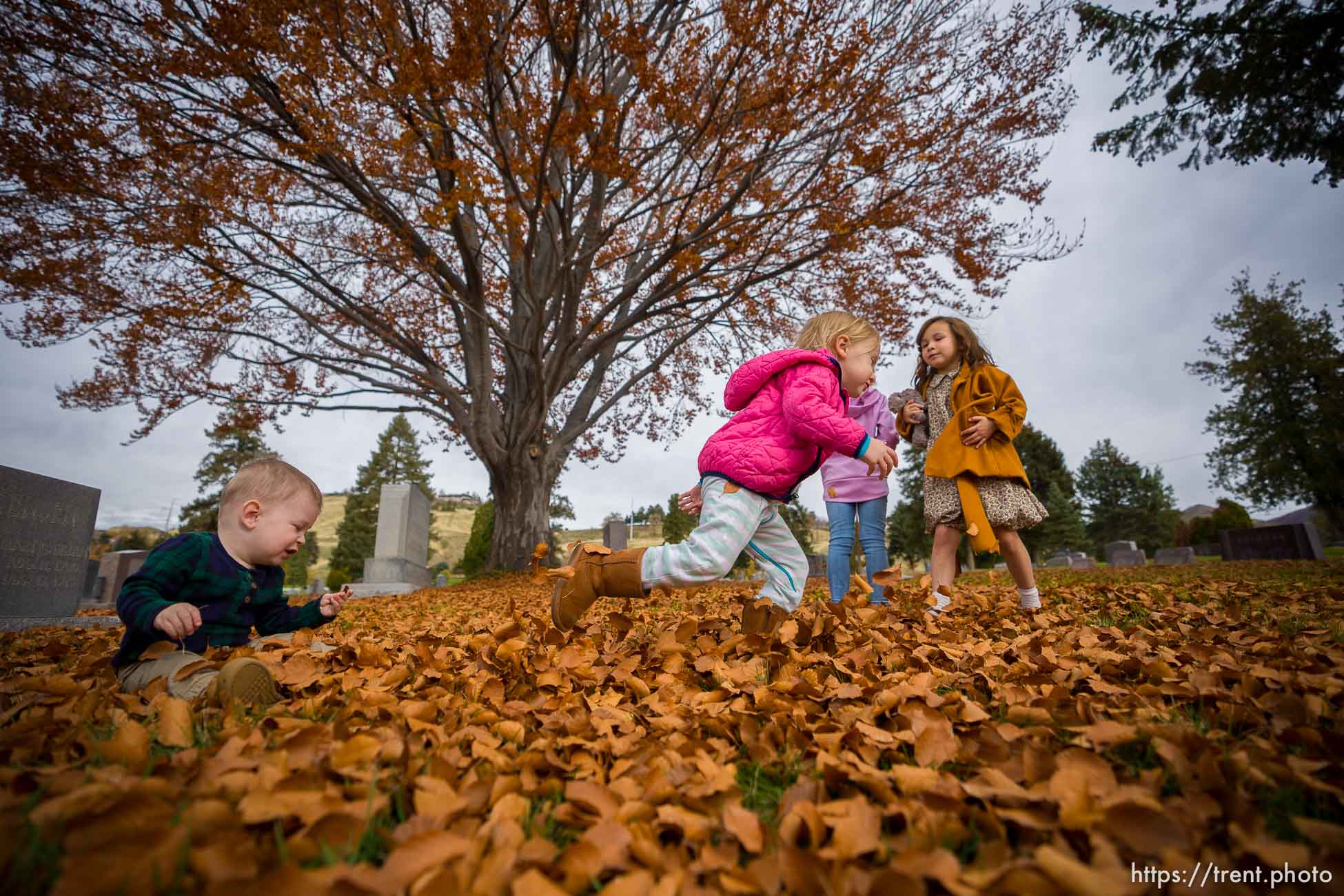 (Trent Nelson  |  The Salt Lake Tribune) Children play in the leaves under a European Beech as Salt Lake City announces the newly accredited Mark Smith Memorial Arboretum at Salt Lake City Cemetery on Saturday, Nov. 6, 2021. From left, Henley DeHart, Nora Davis, Mazie Davis, and Emma Carbine.