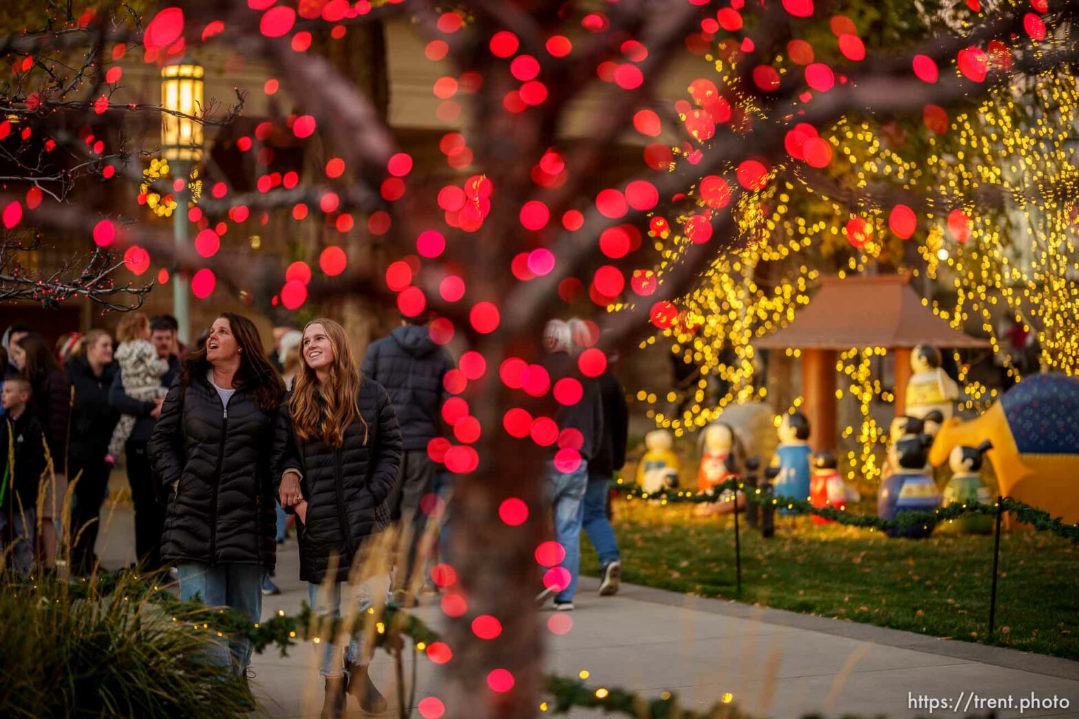 Temple Square holiday lights