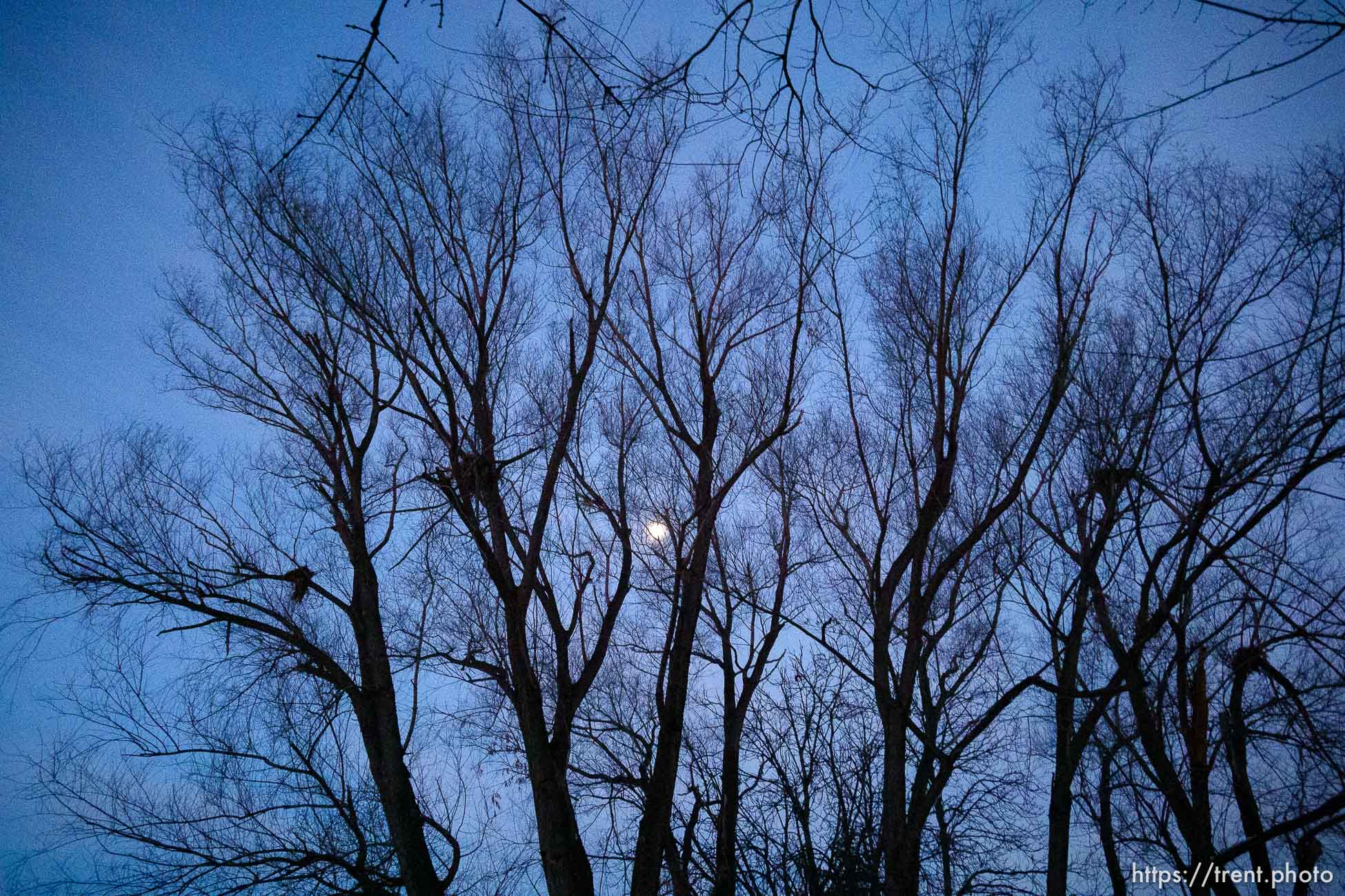 moon, sunrise on Wednesday, Dec. 22, 2021.