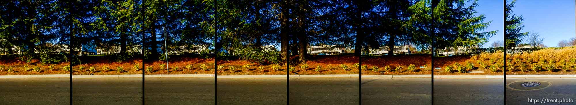 driving in san ramon, california, Friday January 3, 2014.