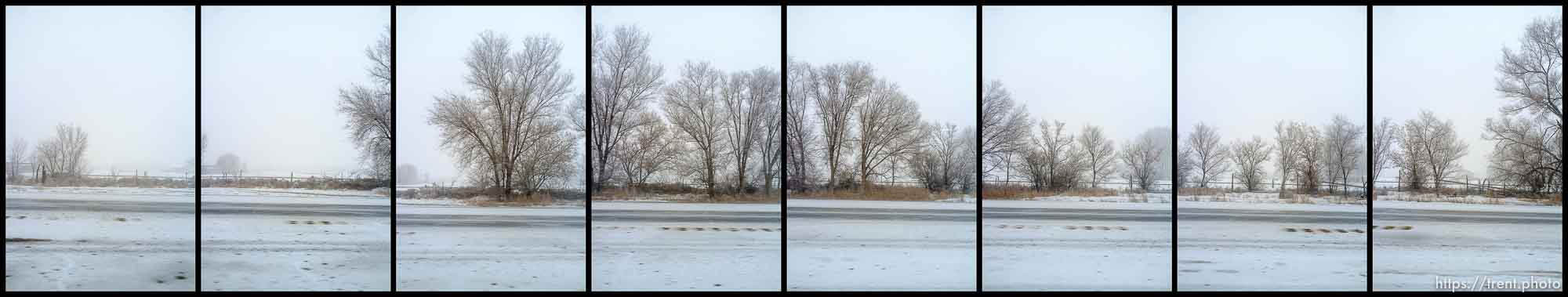 roads. Driving from Roosevelt to Helper through Ashley National Forest, Wednesday January 20, 2016.