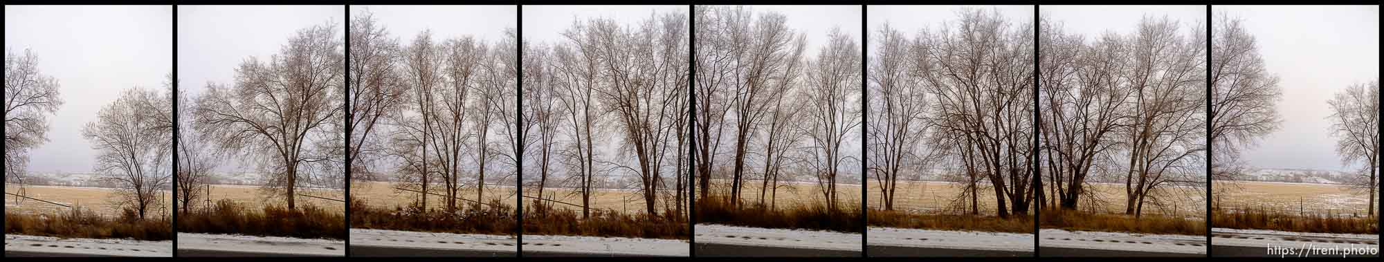 roads. Driving from Roosevelt to Helper through Ashley National Forest, Wednesday January 20, 2016.