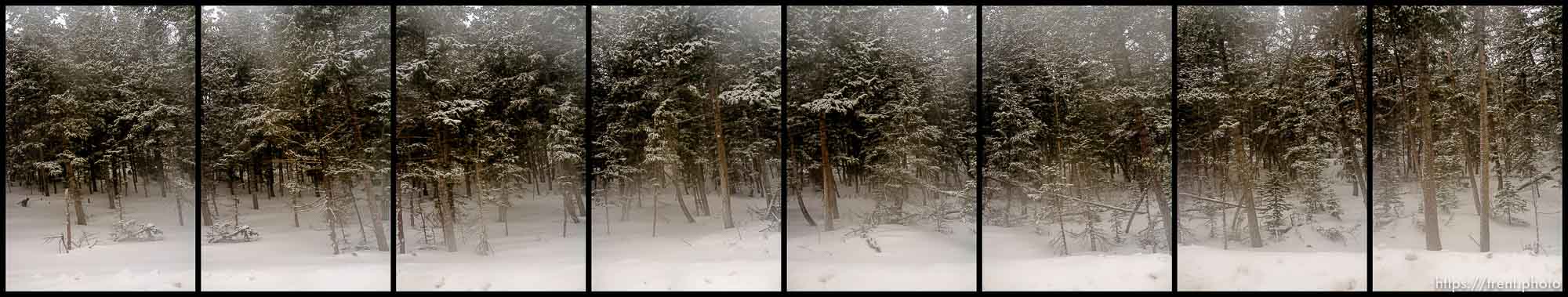 roads. Driving from Roosevelt to Helper through Ashley National Forest, Wednesday January 20, 2016.