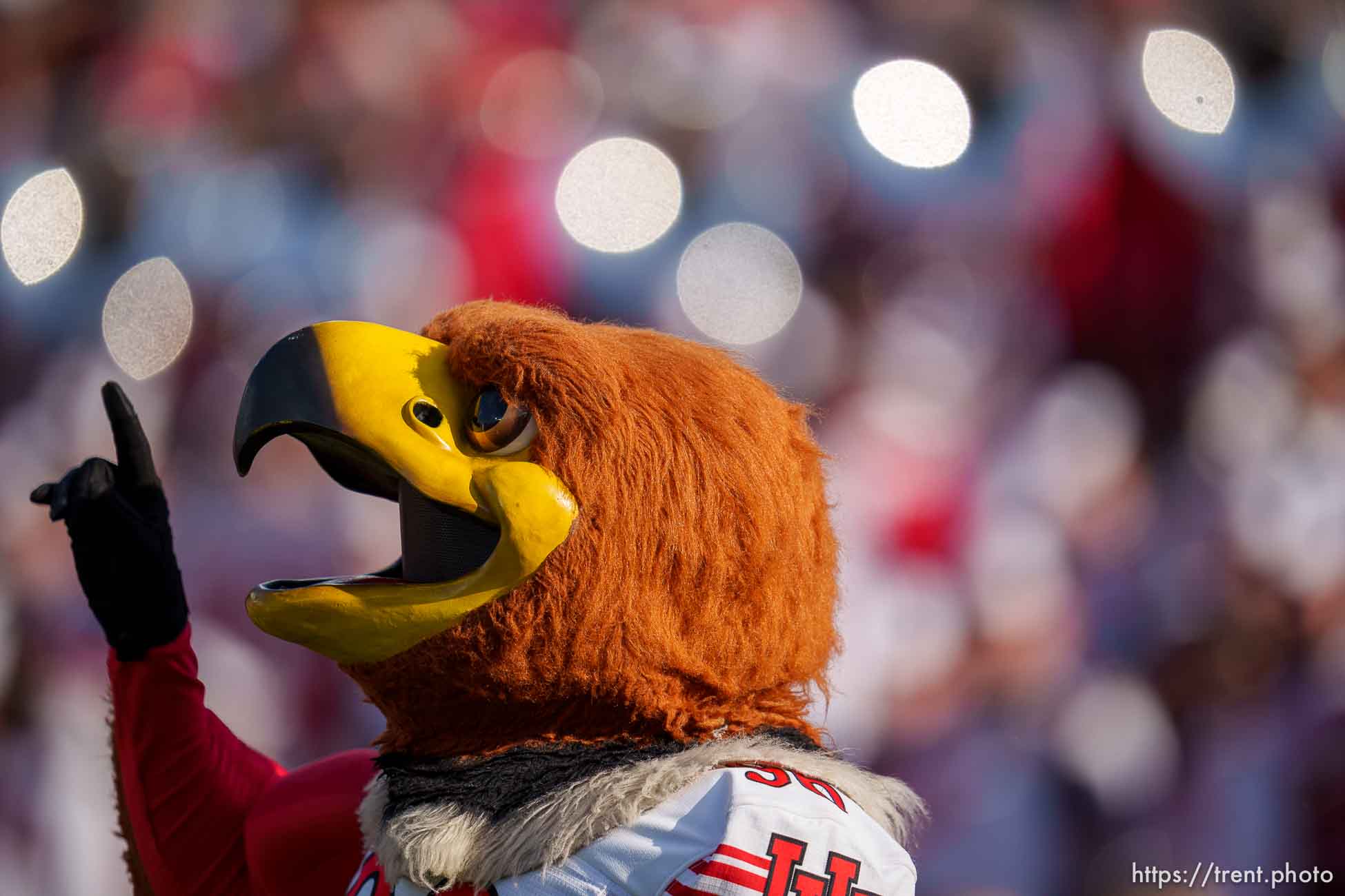 (Trent Nelson  |  The Salt Lake Tribune) Swoop as the Utah Utes face the Ohio State Buckeyes at the Rose Bowl in Pasadena, Calif., on Saturday, Jan. 1, 2022.