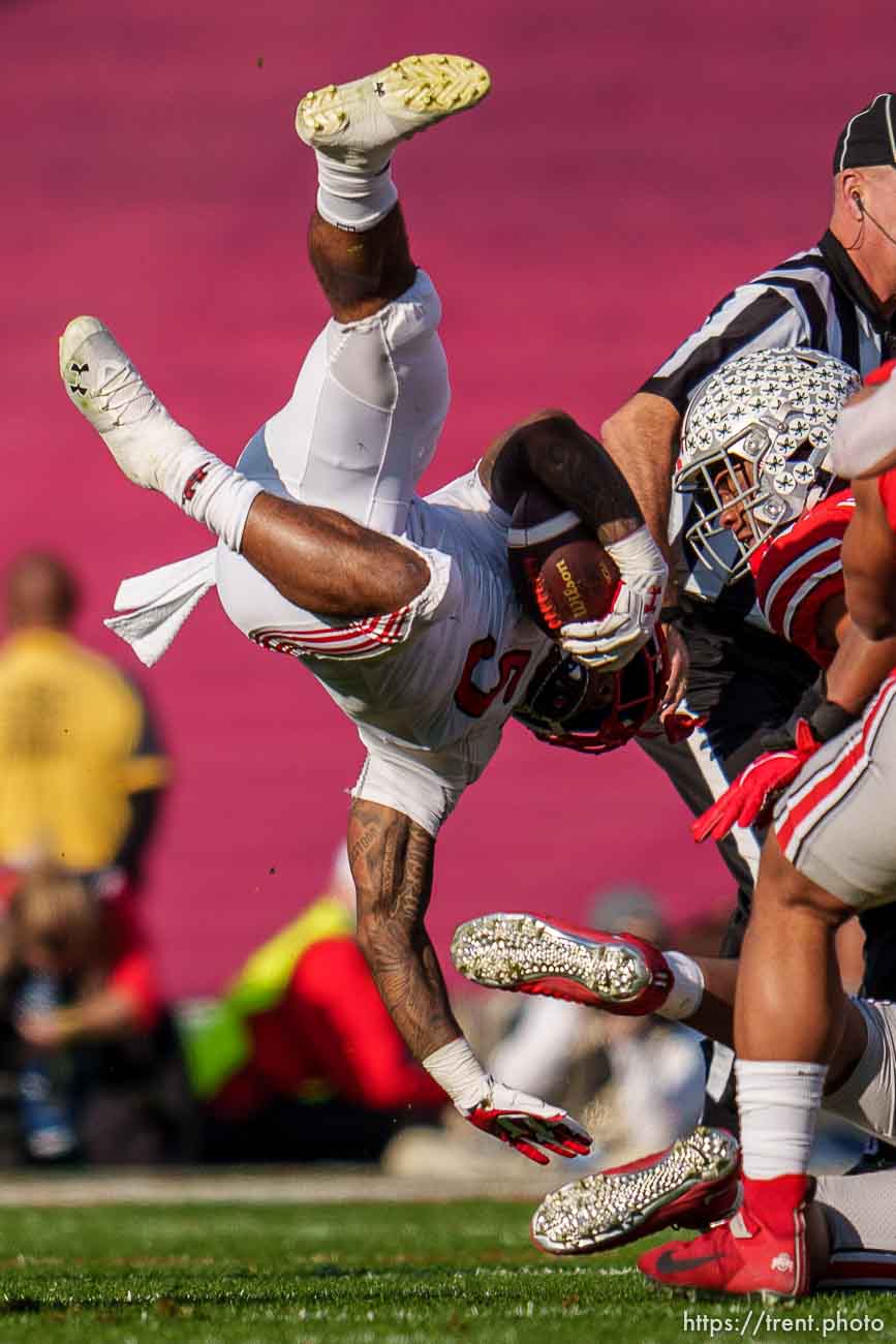 (Trent Nelson  |  The Salt Lake Tribune) Utah Utes running back TJ Pledger (5) flips during a run as the Utah Utes face the Ohio State Buckeyes at the Rose Bowl in Pasadena, Calif., on Saturday, Jan. 1, 2022.