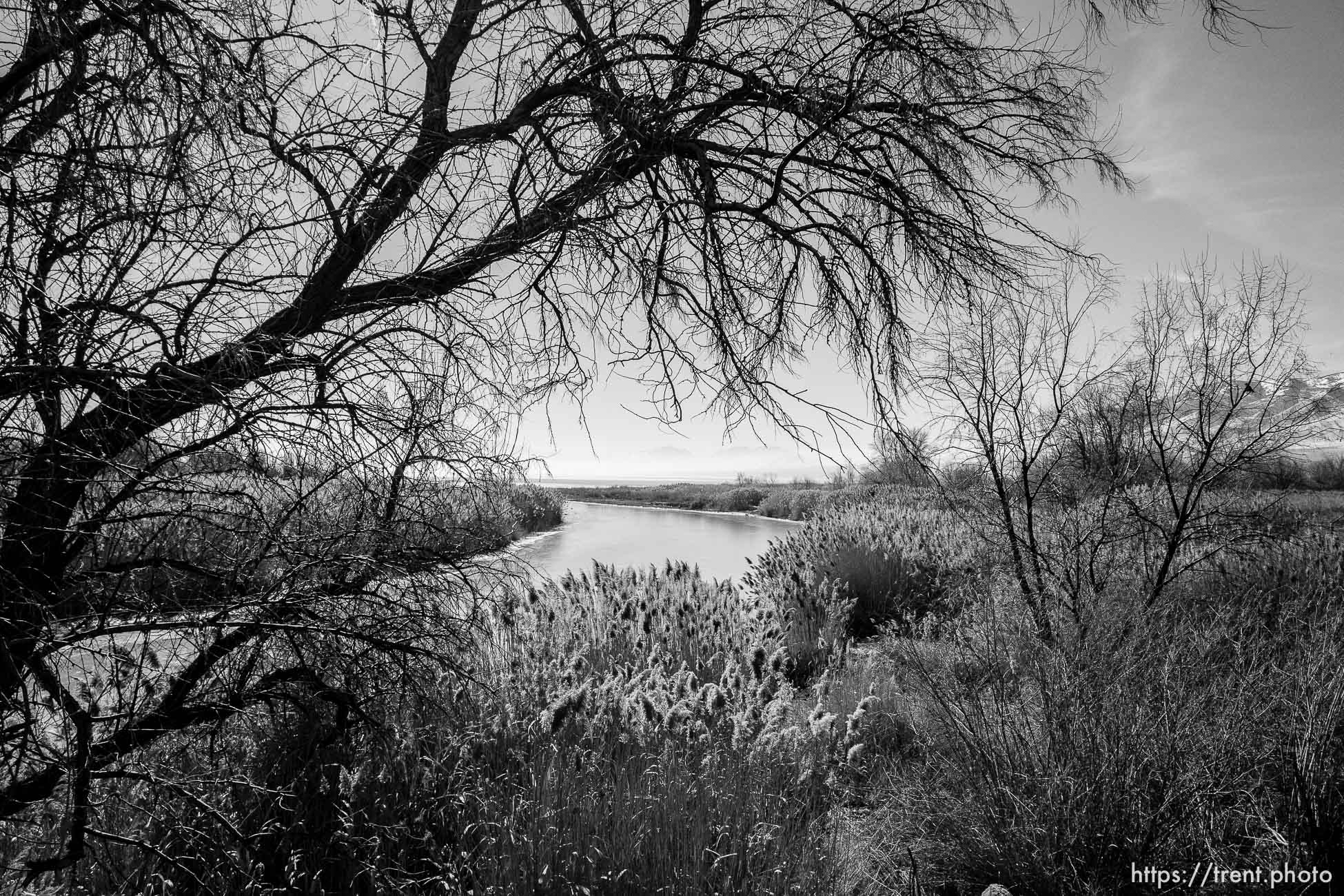 (Trent Nelson  |  The Salt Lake Tribune) 
For this story, we need photographs of the Turner Dam, where Utah Lake discharges into the Jordan River,  and the related pump station. These facilities regulate the level of the lake.  Go to the Jordan River Triails northern most trailhead at Inlet Park, from there you can find a good angle to photograph the dam, from either side. I would like to get a shot from the Utah Lake side, since our reporting is on Utah Lake

in Saratoga Springs on Tuesday, March 1, 2022.