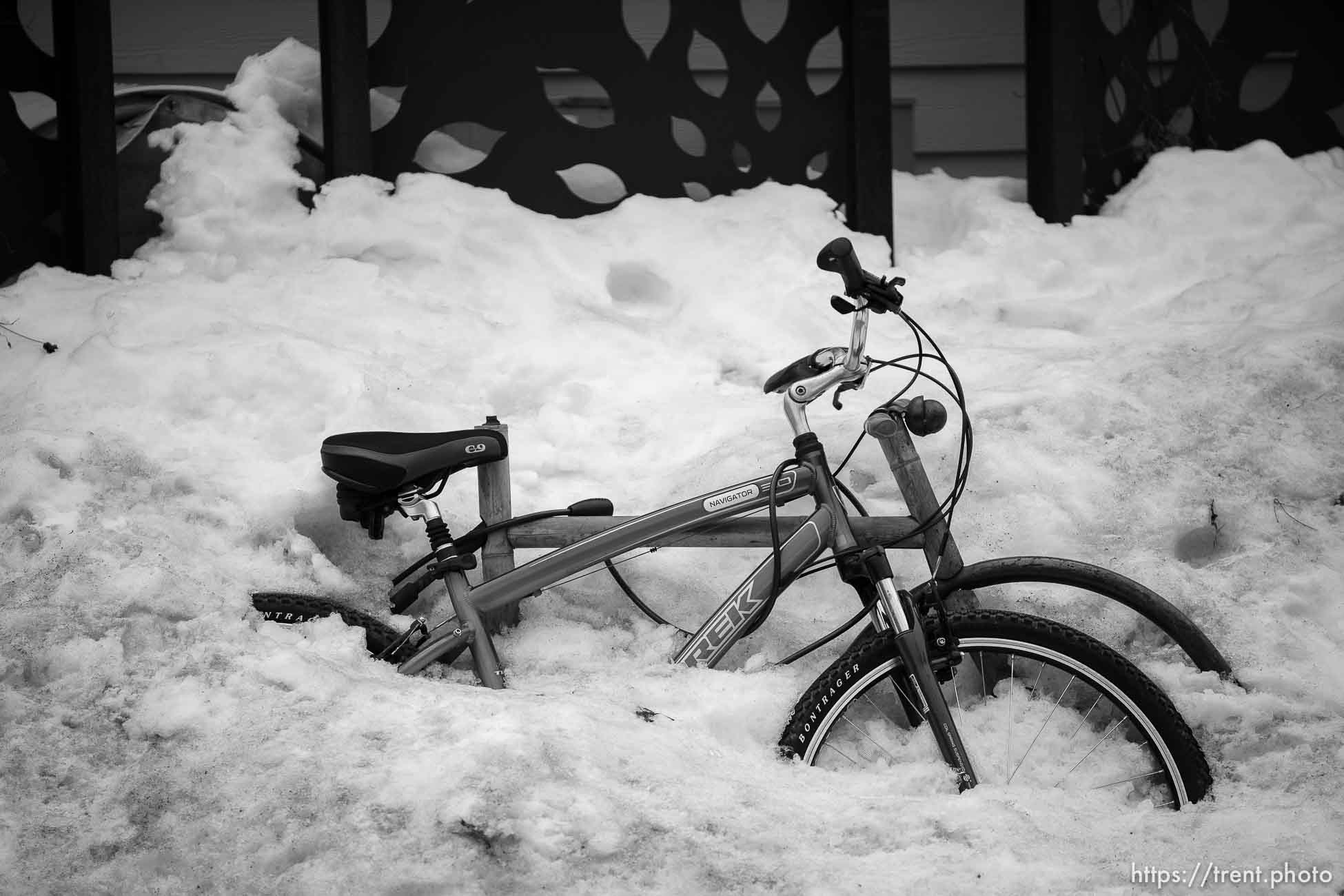 Snow