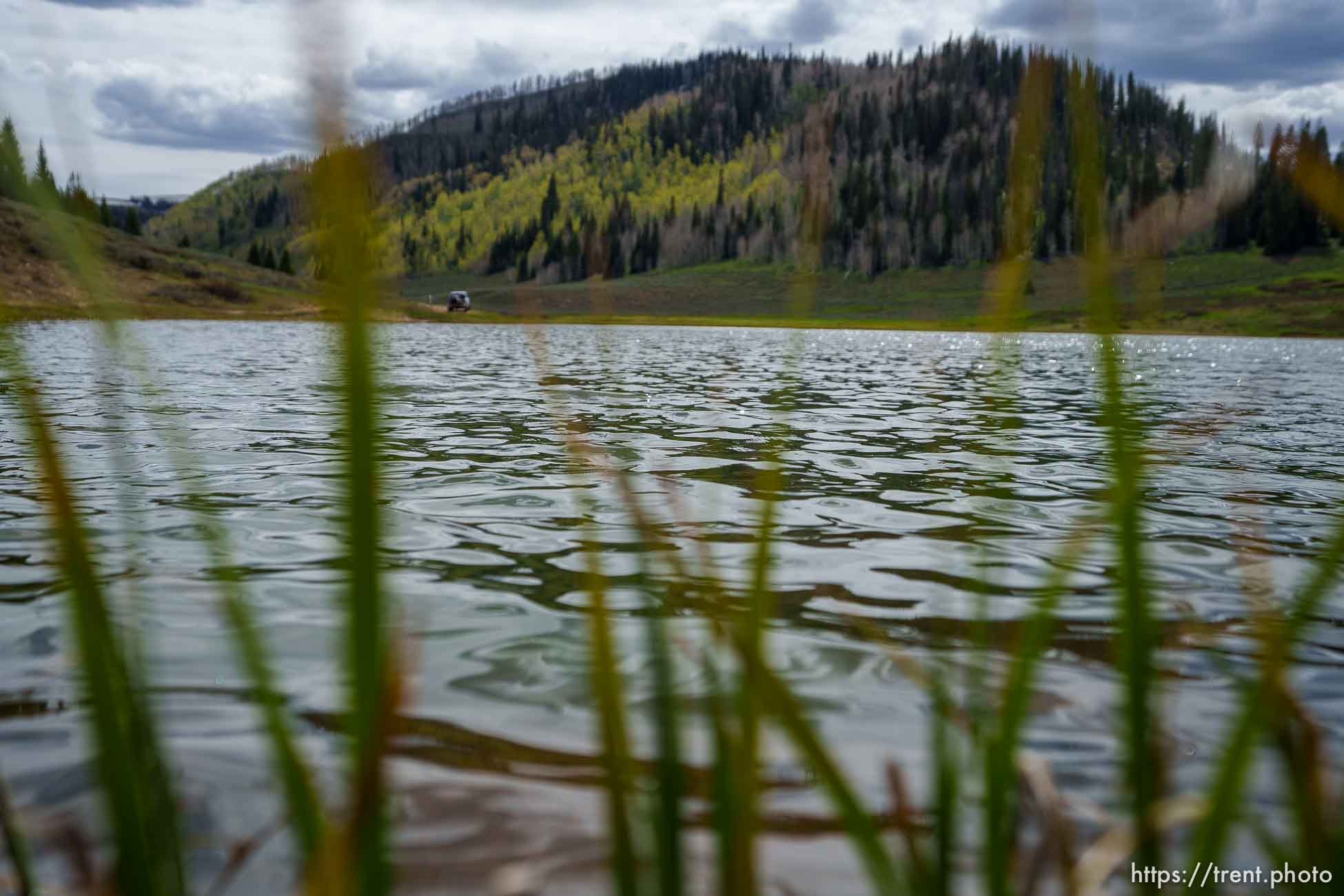 (Trent Nelson  |  The Salt Lake Tribune) Boulger Reservoir on Saturday, June 4, 2022.