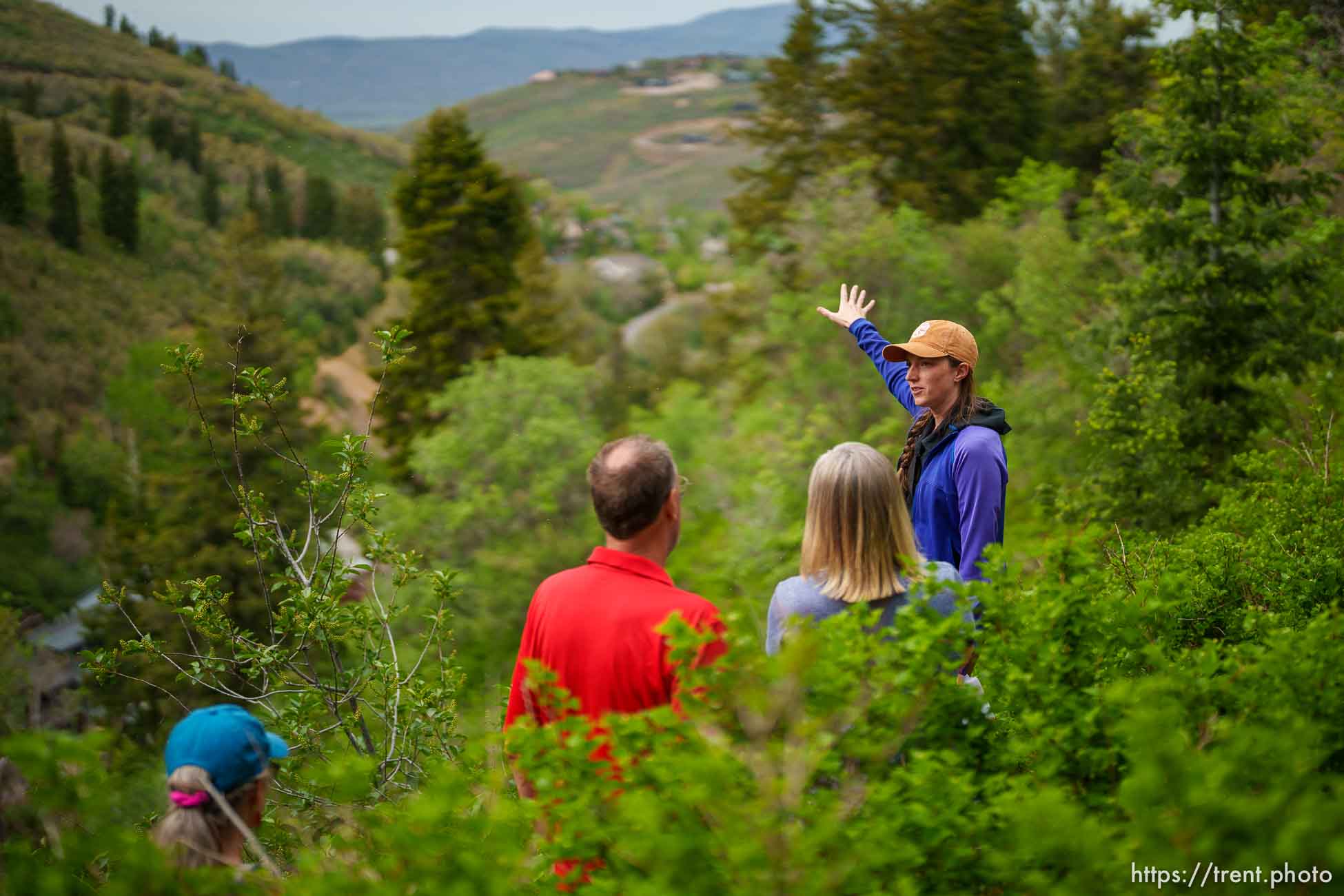 (Trent Nelson  |  The Salt Lake Tribune) Caitlin Willard leads a Hops Hunters Hike in Empire Canyon, Park City on Wednesday, June 8, 2022.