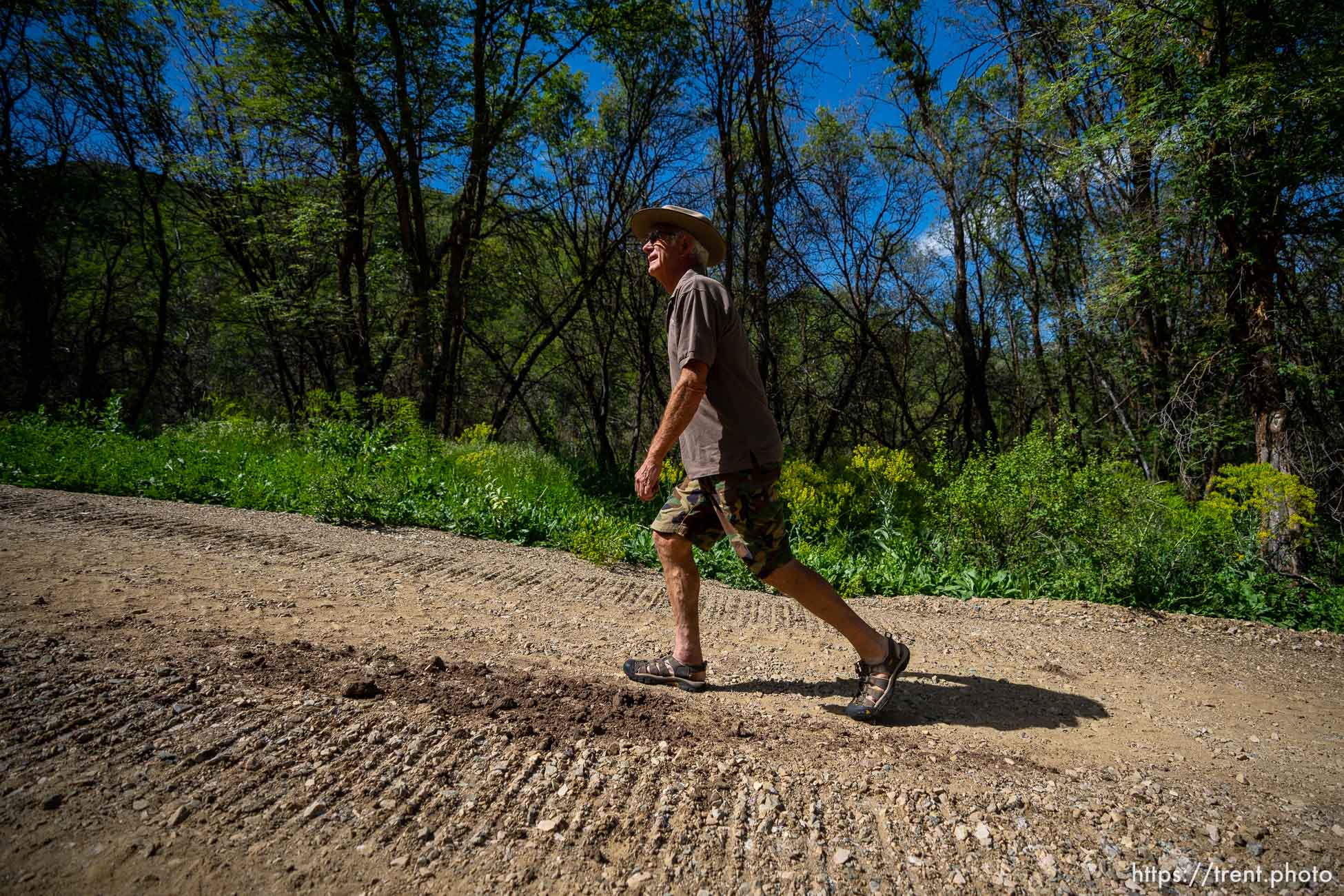 (Trent Nelson  |  The Salt Lake Tribune) Peter Turner in the Reserve at Crimson Ridge, an Eden subdivision on Thursday, June 23, 2022.