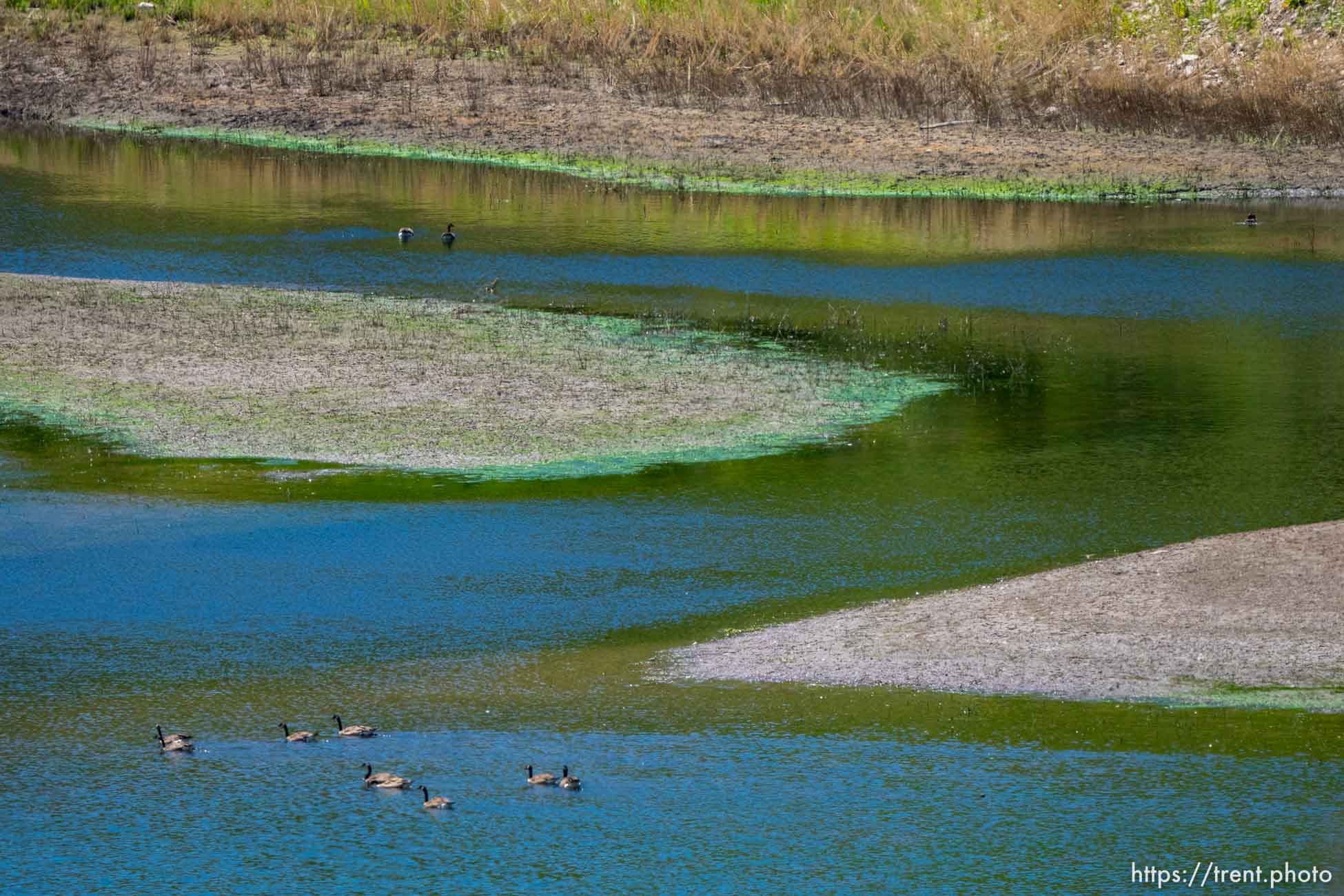 (Trent Nelson  |  The Salt Lake Tribune) East Canyon Reservoir on Thursday, July 7, 2022.