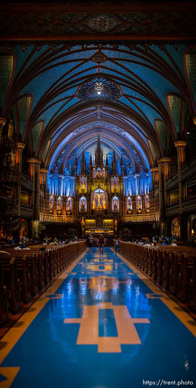 notre dame cathedral on Wednesday, July 20, 2022.