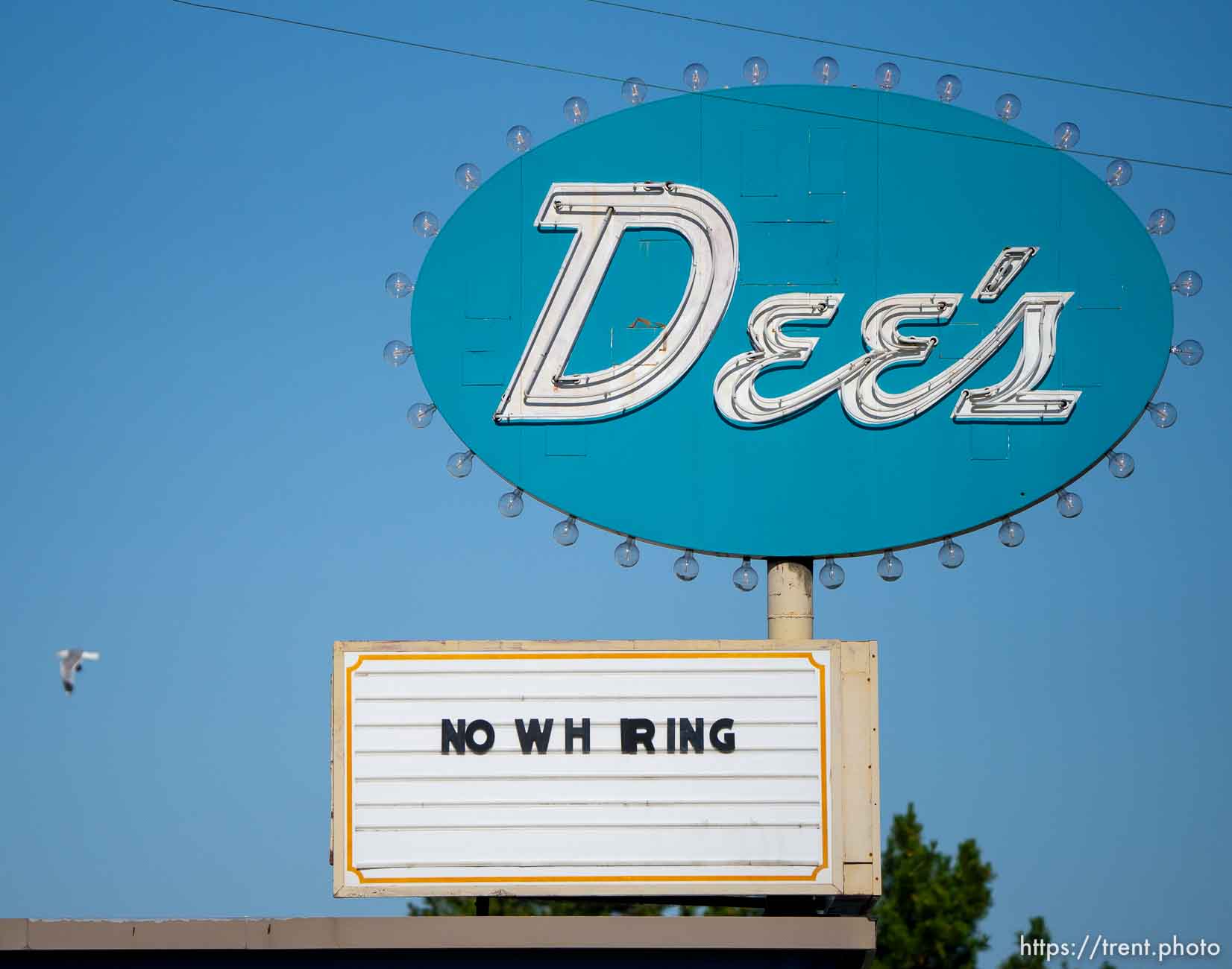 No Wh ring, Dee's sign on Sunday, July 10, 2022.