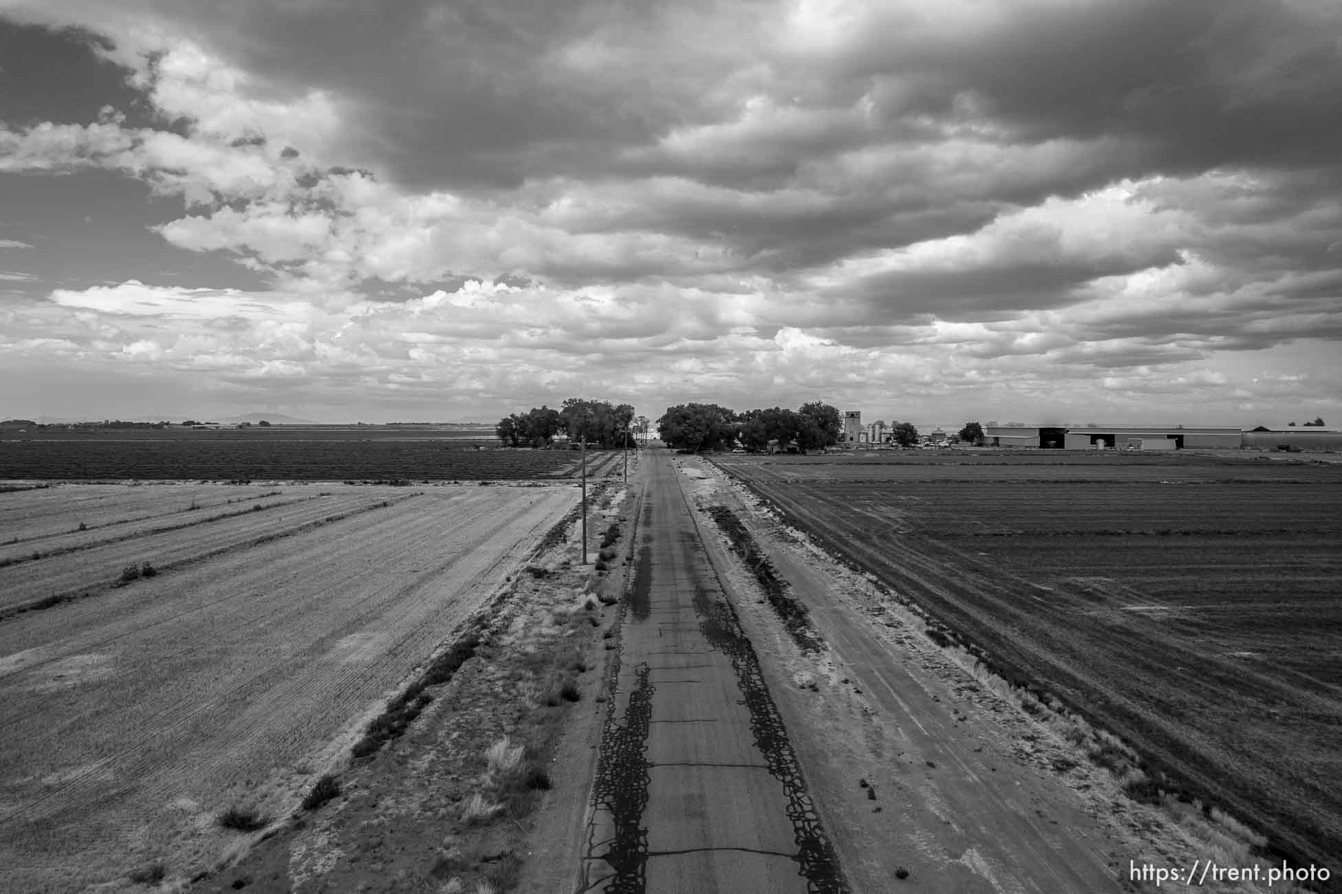 Agriculture, Delta, on Friday, Aug. 5, 2022.