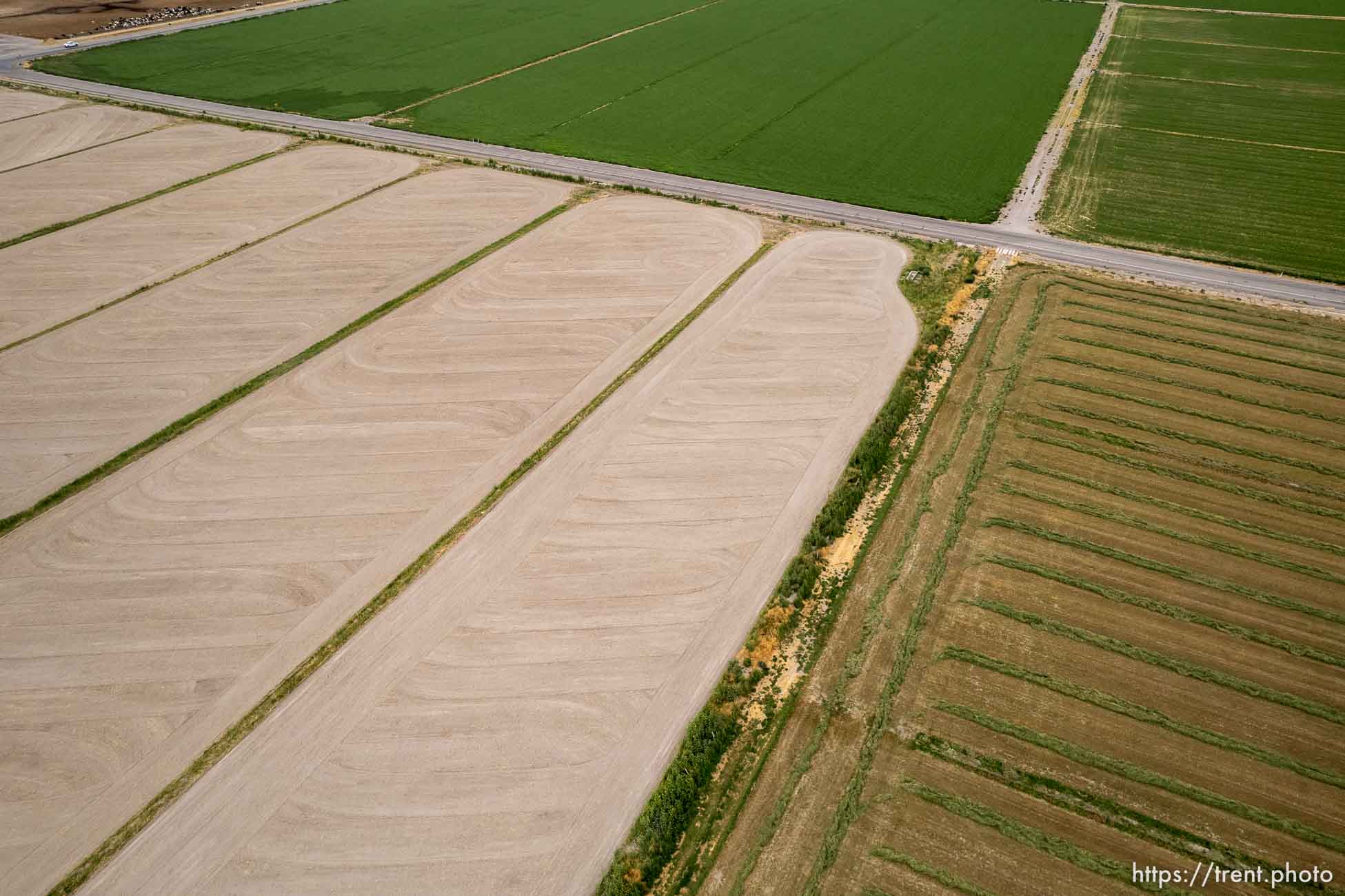 (Trent Nelson | The Salt Lake Tribune) Farmland in Delta on Friday, Aug. 5, 2022.