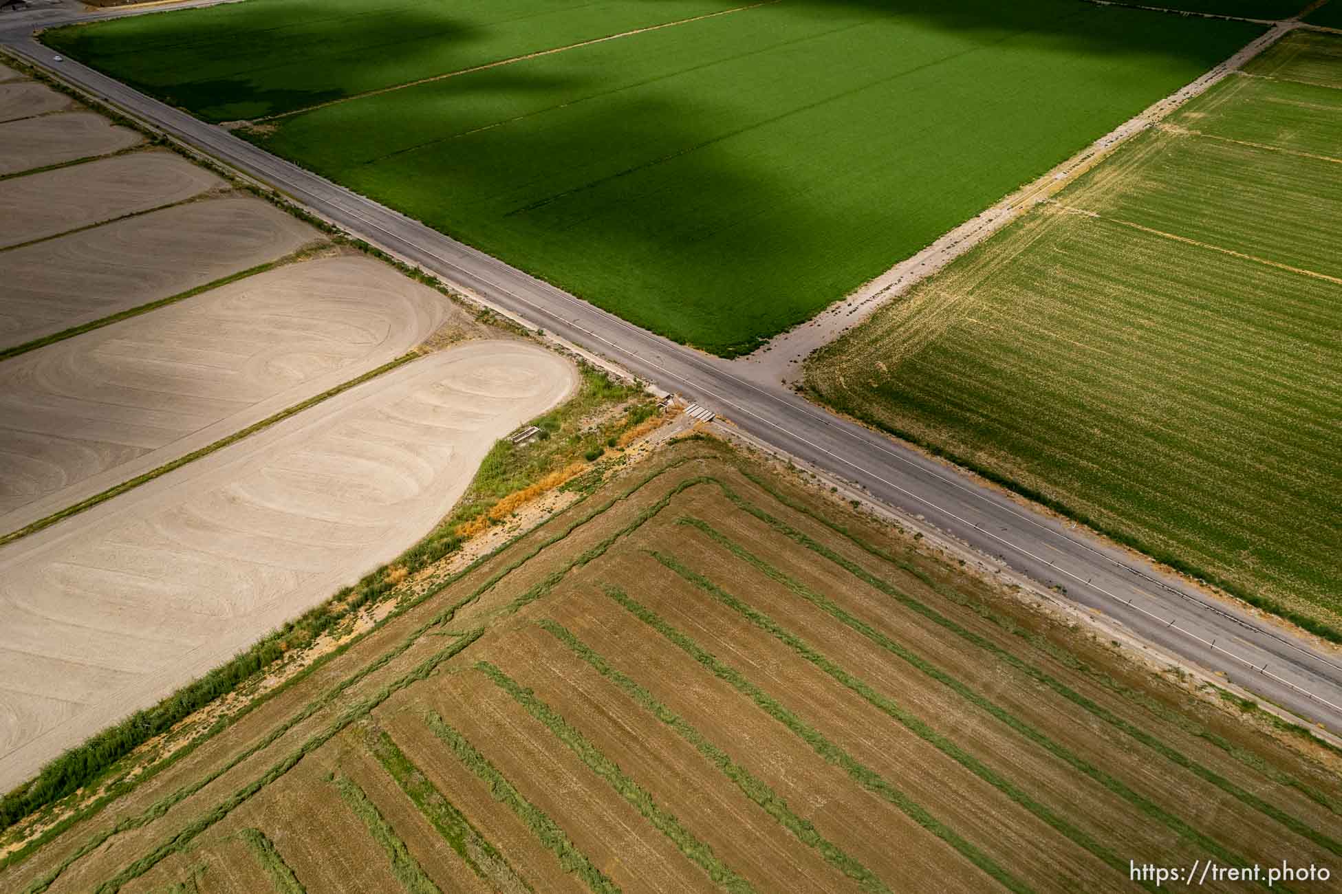 (Trent Nelson | The Salt Lake Tribune) Farmland in Delta on Friday, Aug. 5, 2022.