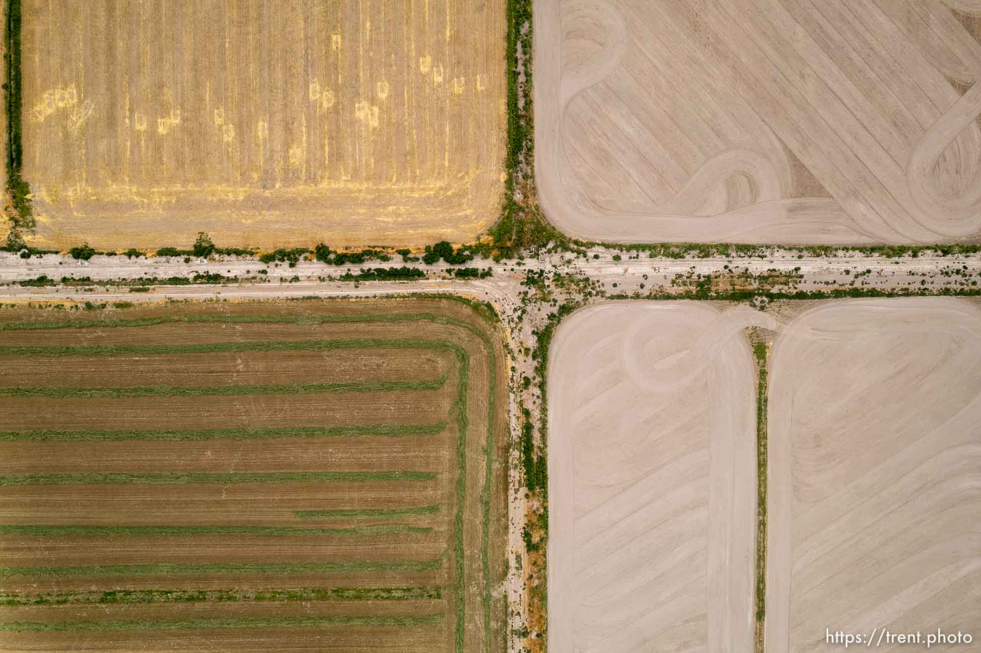 (Trent Nelson | The Salt Lake Tribune) Farmland in Delta on Friday, Aug. 5, 2022.