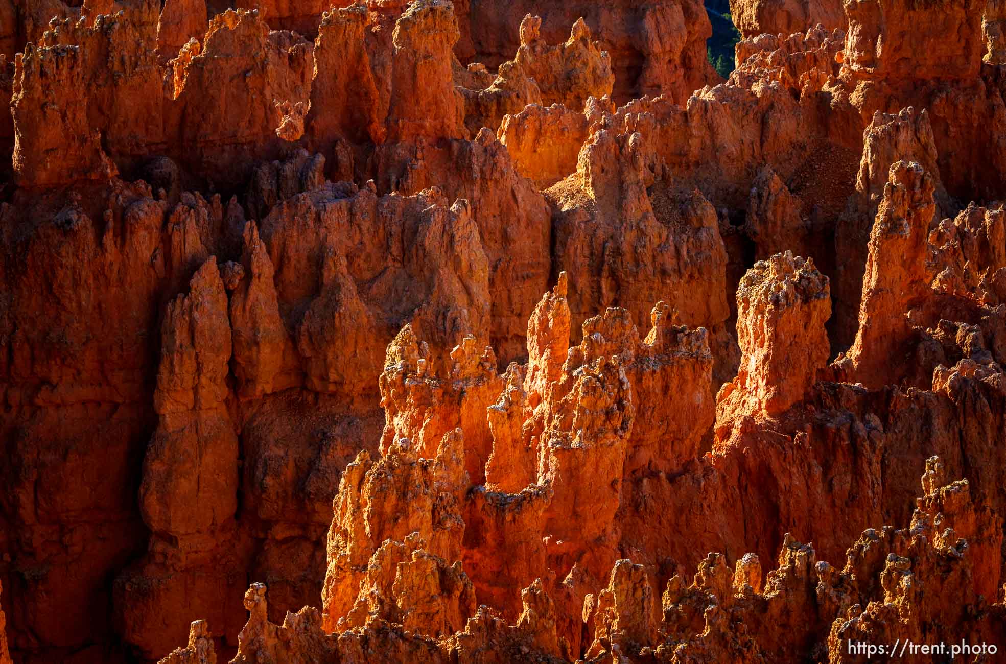 Bryce Canyon National Park on Sunday, July 31, 2022.