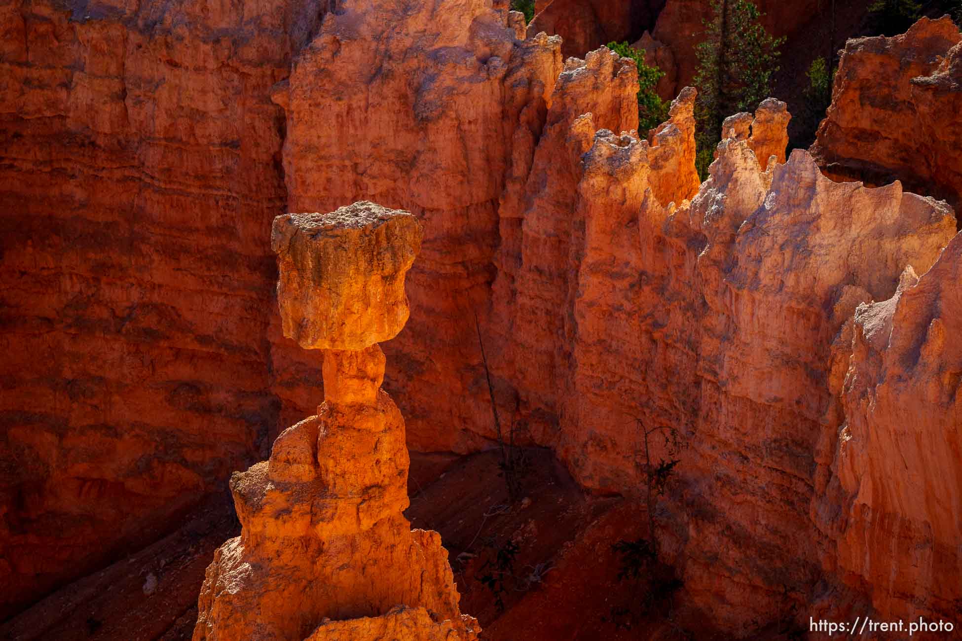 Bryce Canyon National Park on Sunday, July 31, 2022.