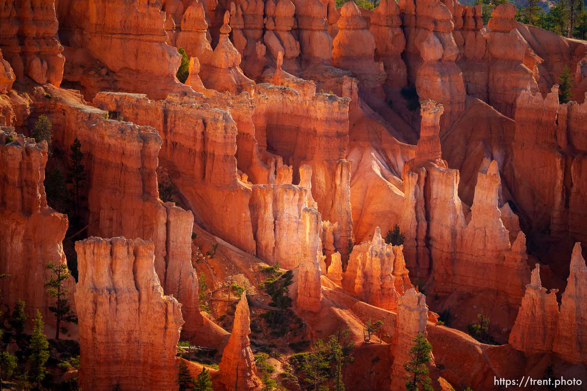 Bryce Canyon National Park on Sunday, July 31, 2022.