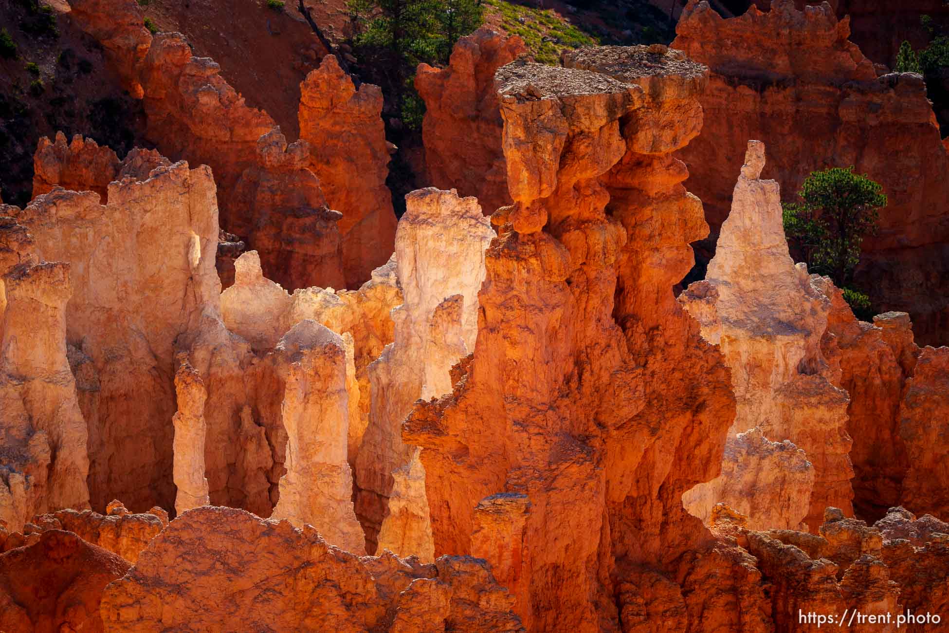 Bryce Canyon National Park on Sunday, July 31, 2022.