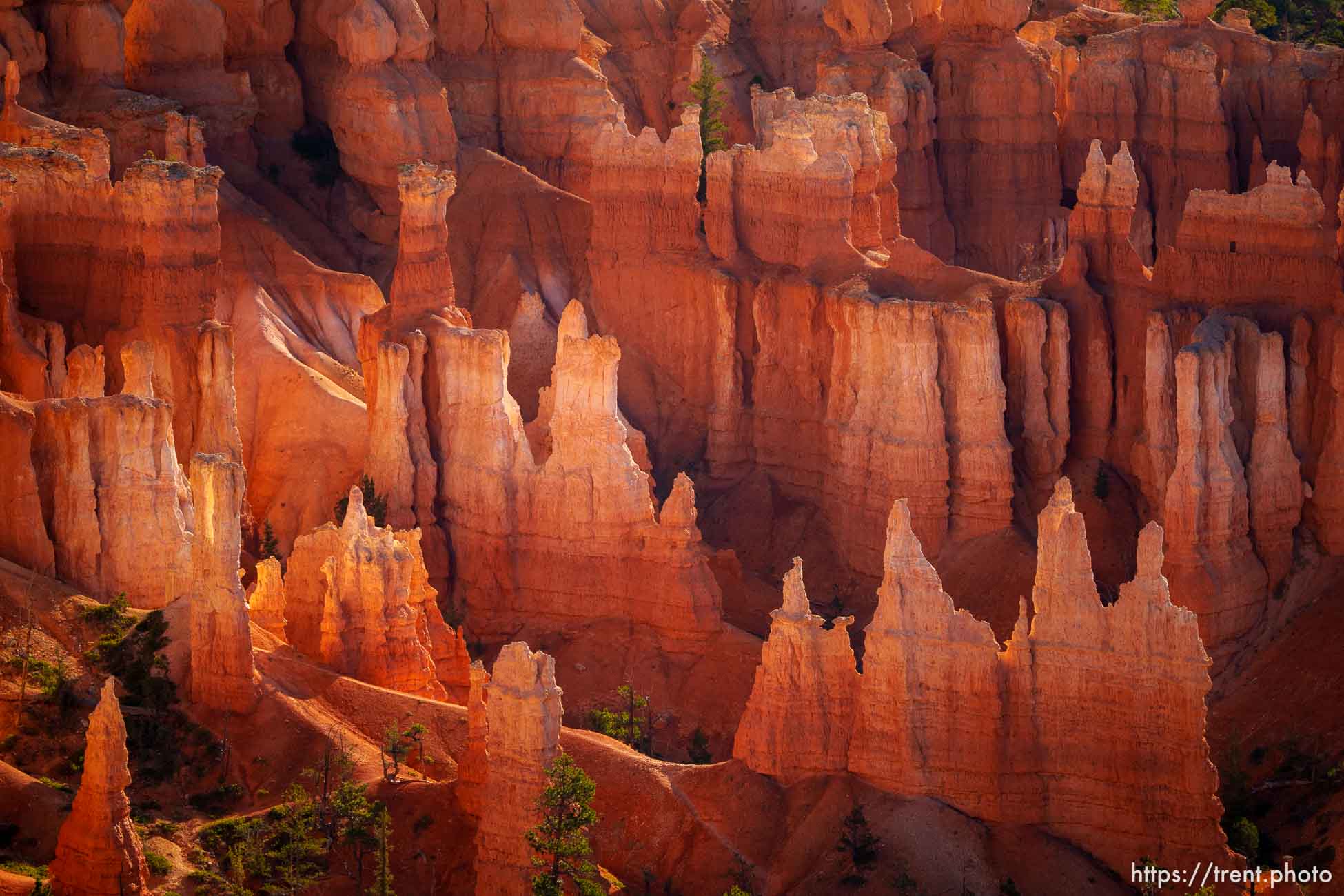 Bryce Canyon National Park on Sunday, July 31, 2022.