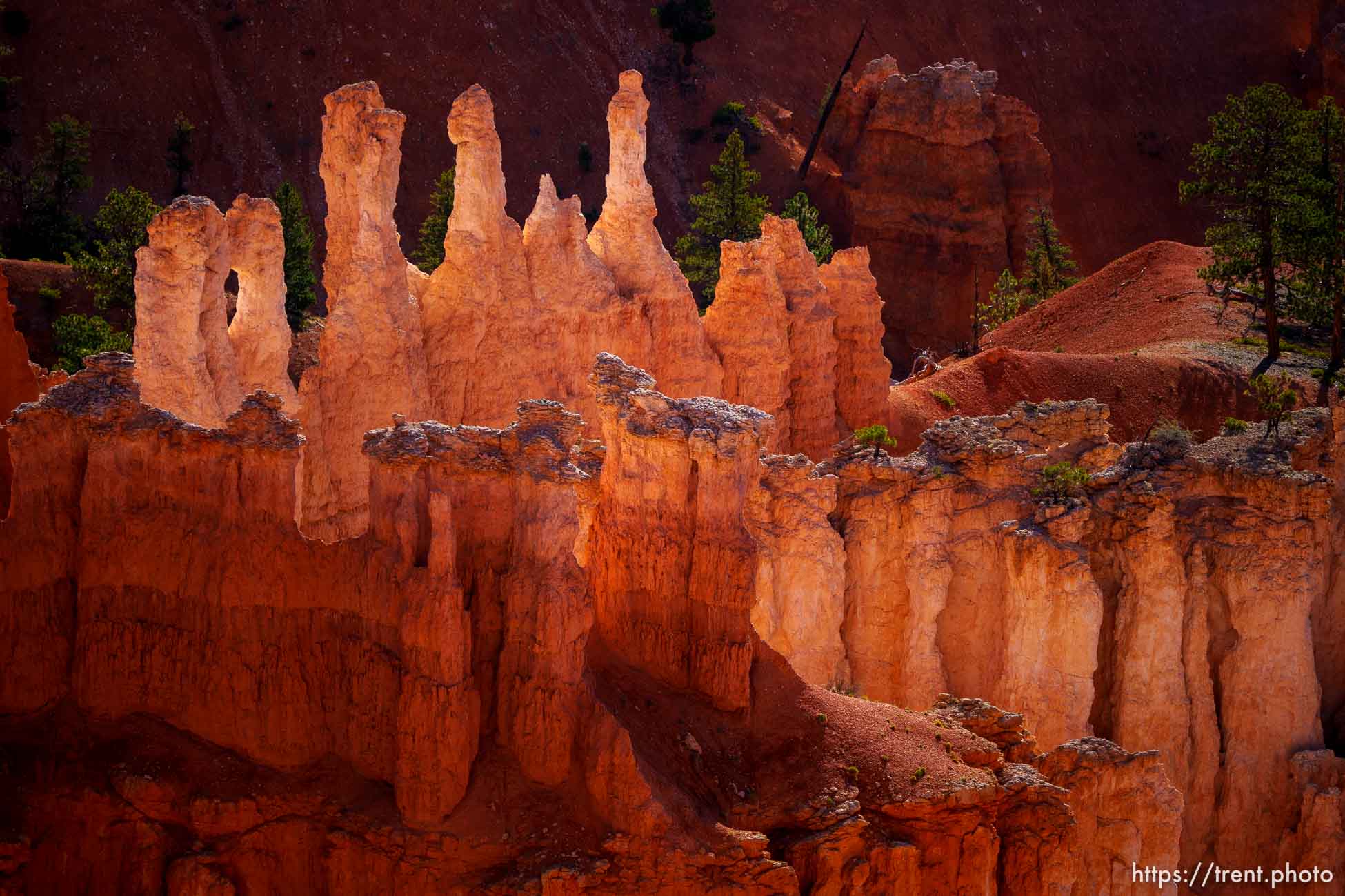 Bryce Canyon National Park on Sunday, July 31, 2022.