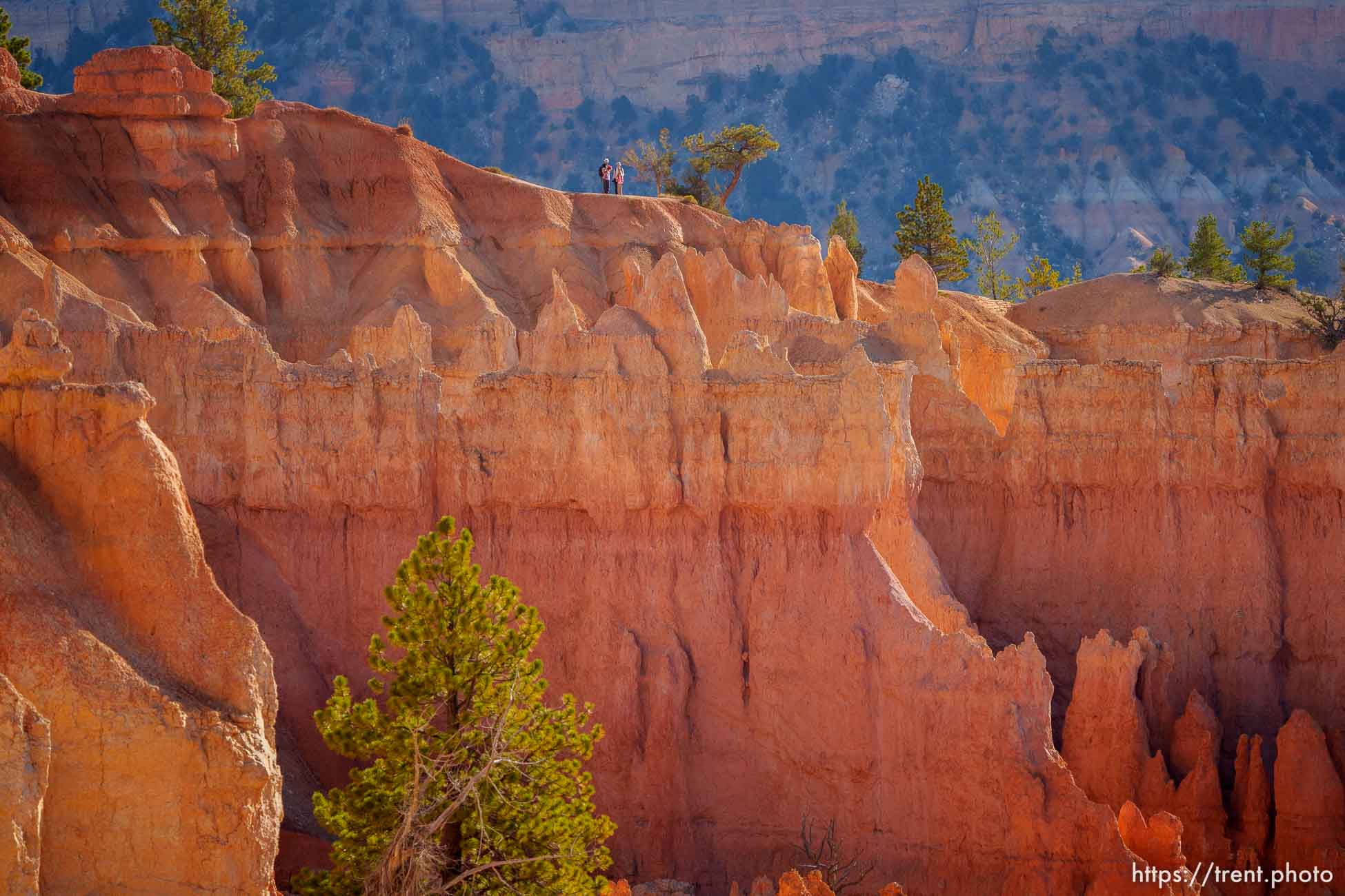 Bryce Canyon National Park on Sunday, July 31, 2022.