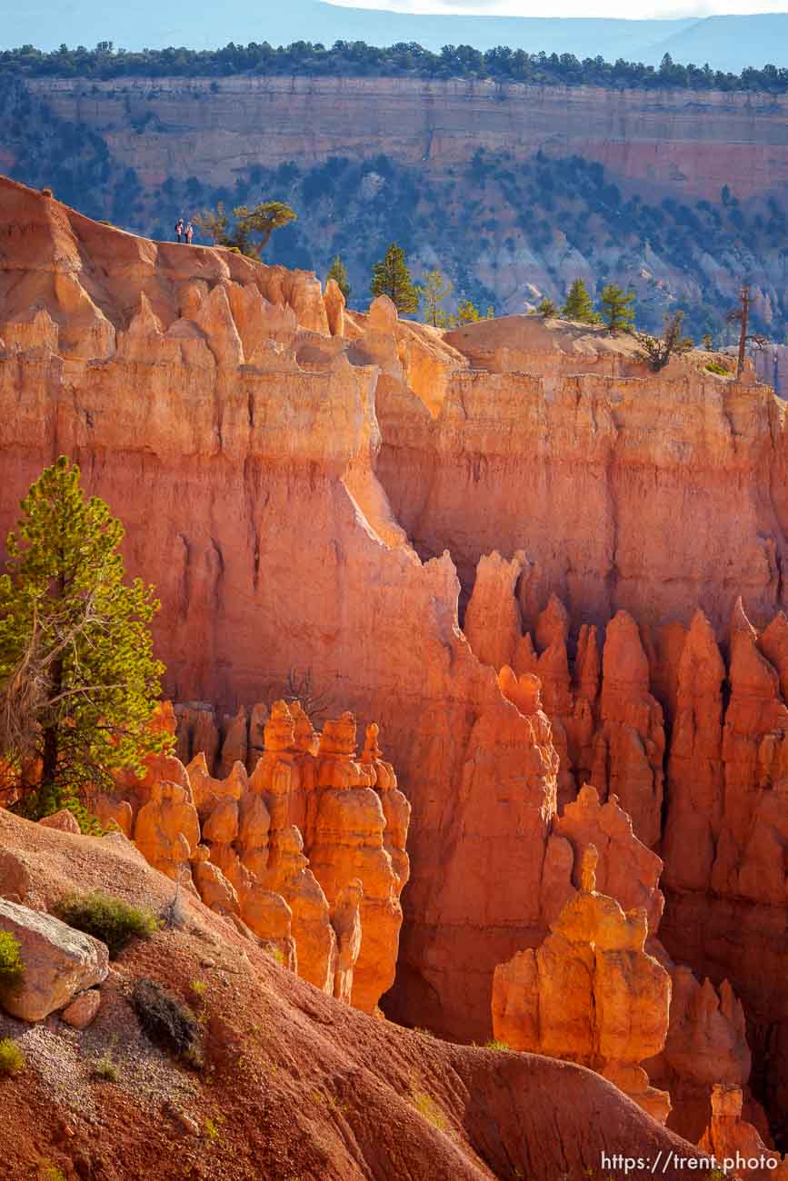 Bryce Canyon National Park on Sunday, July 31, 2022.