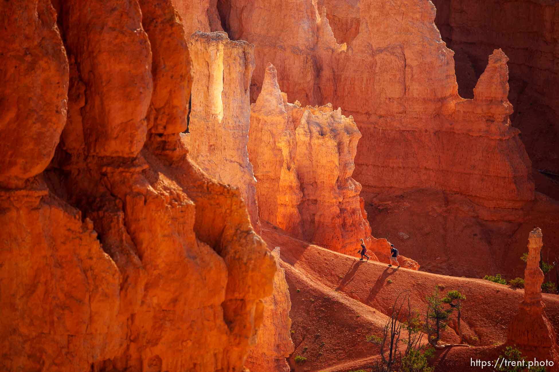 Bryce Canyon National Park on Sunday, July 31, 2022.