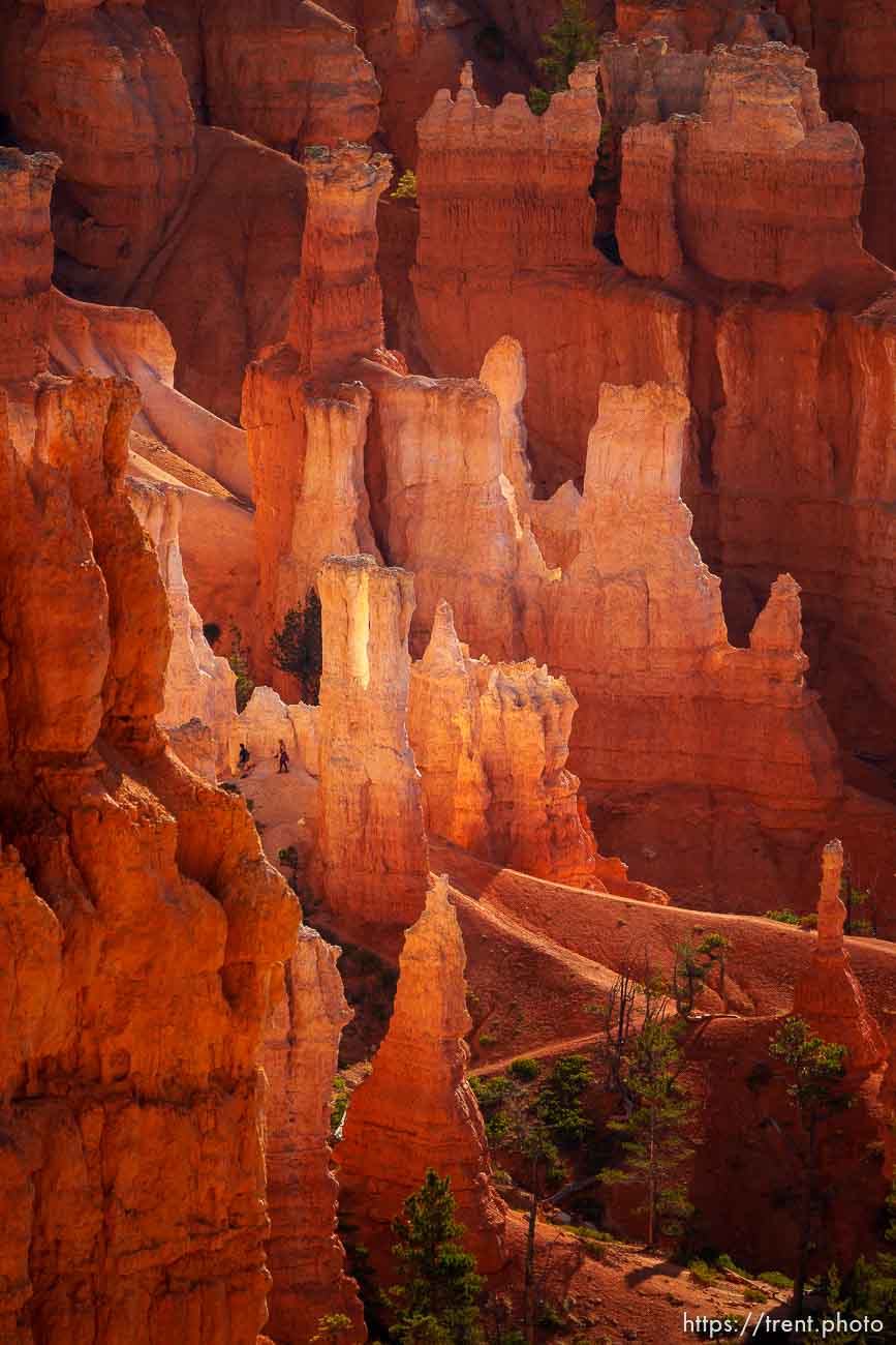 (Trent Nelson  |  The Salt Lake Tribune) Hikers at Bryce Canyon National Park on Saturday, July 30, 2022.