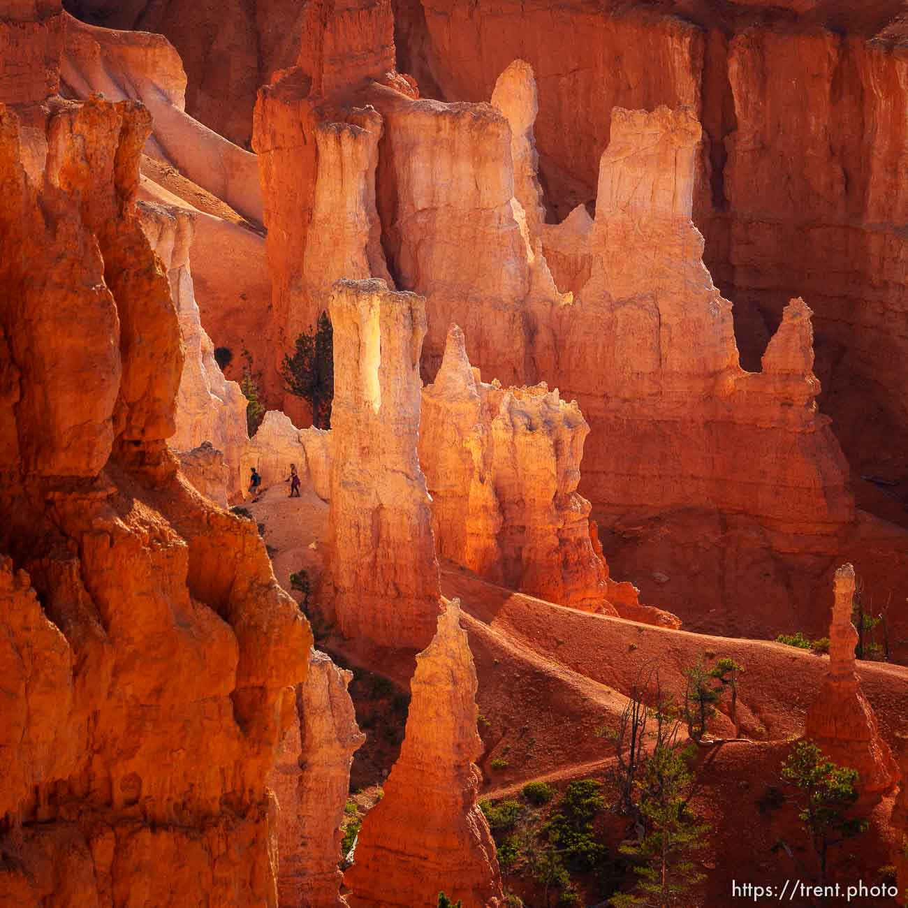 (Trent Nelson  |  The Salt Lake Tribune) Hikers at Bryce Canyon National Park on Saturday, July 30, 2022.