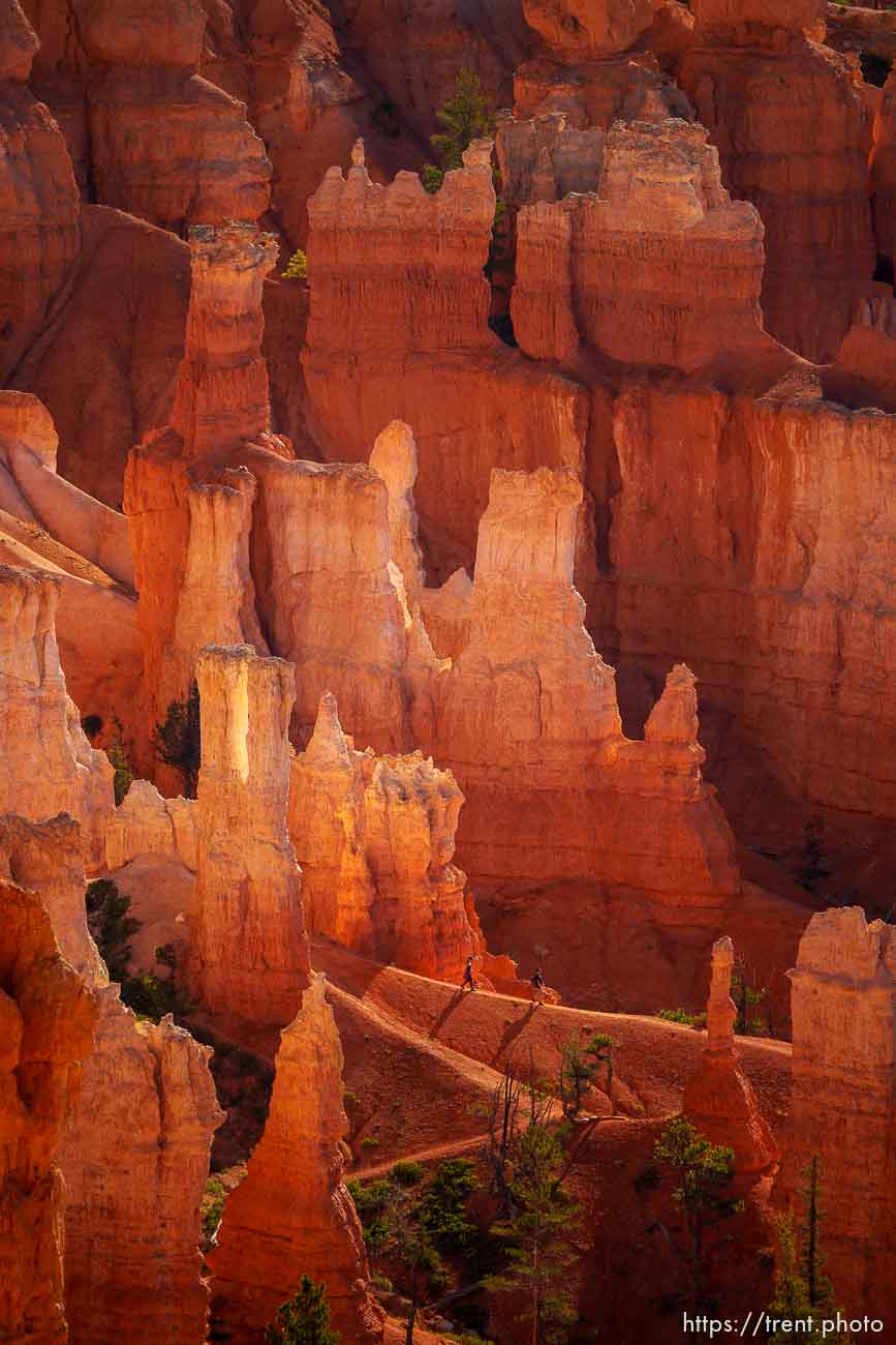 Bryce Canyon National Park on Sunday, July 31, 2022.