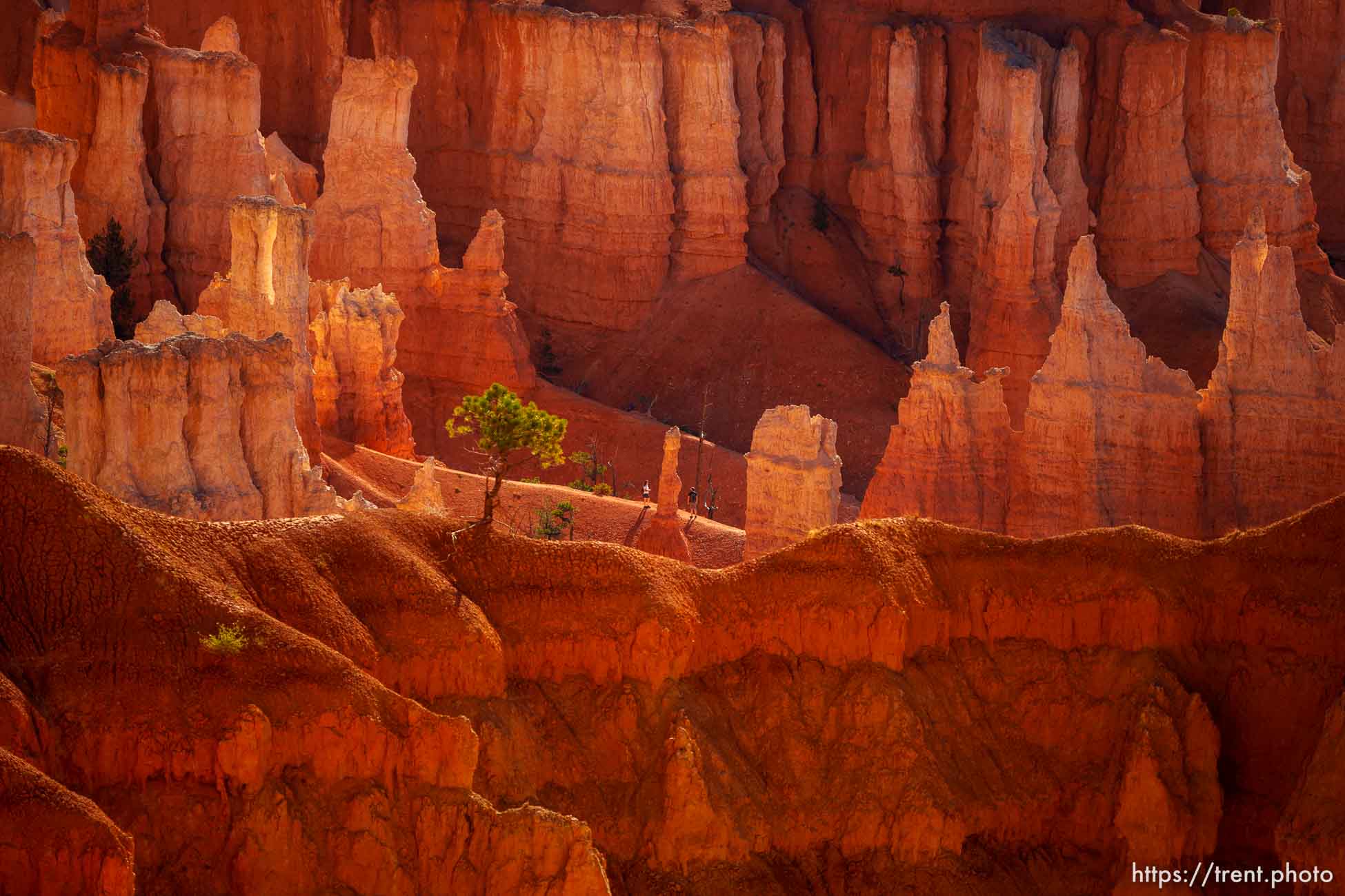 Bryce Canyon National Park on Sunday, July 31, 2022.