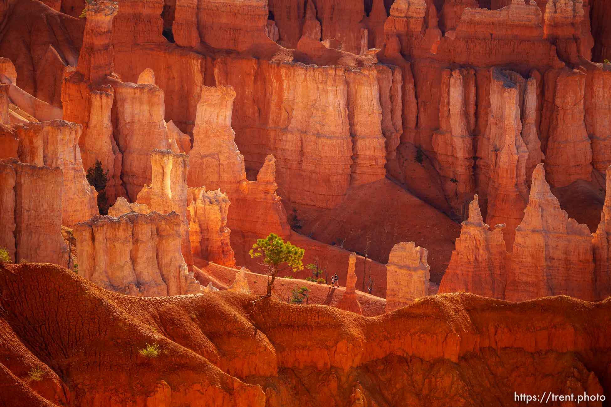 Bryce Canyon National Park on Sunday, July 31, 2022.