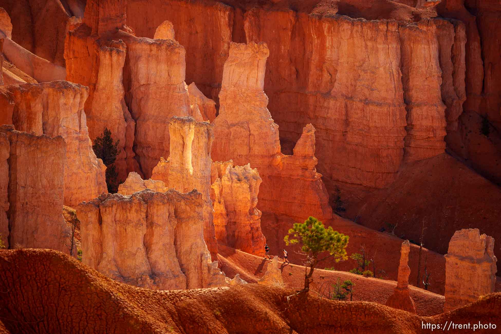 Bryce Canyon National Park on Sunday, July 31, 2022.