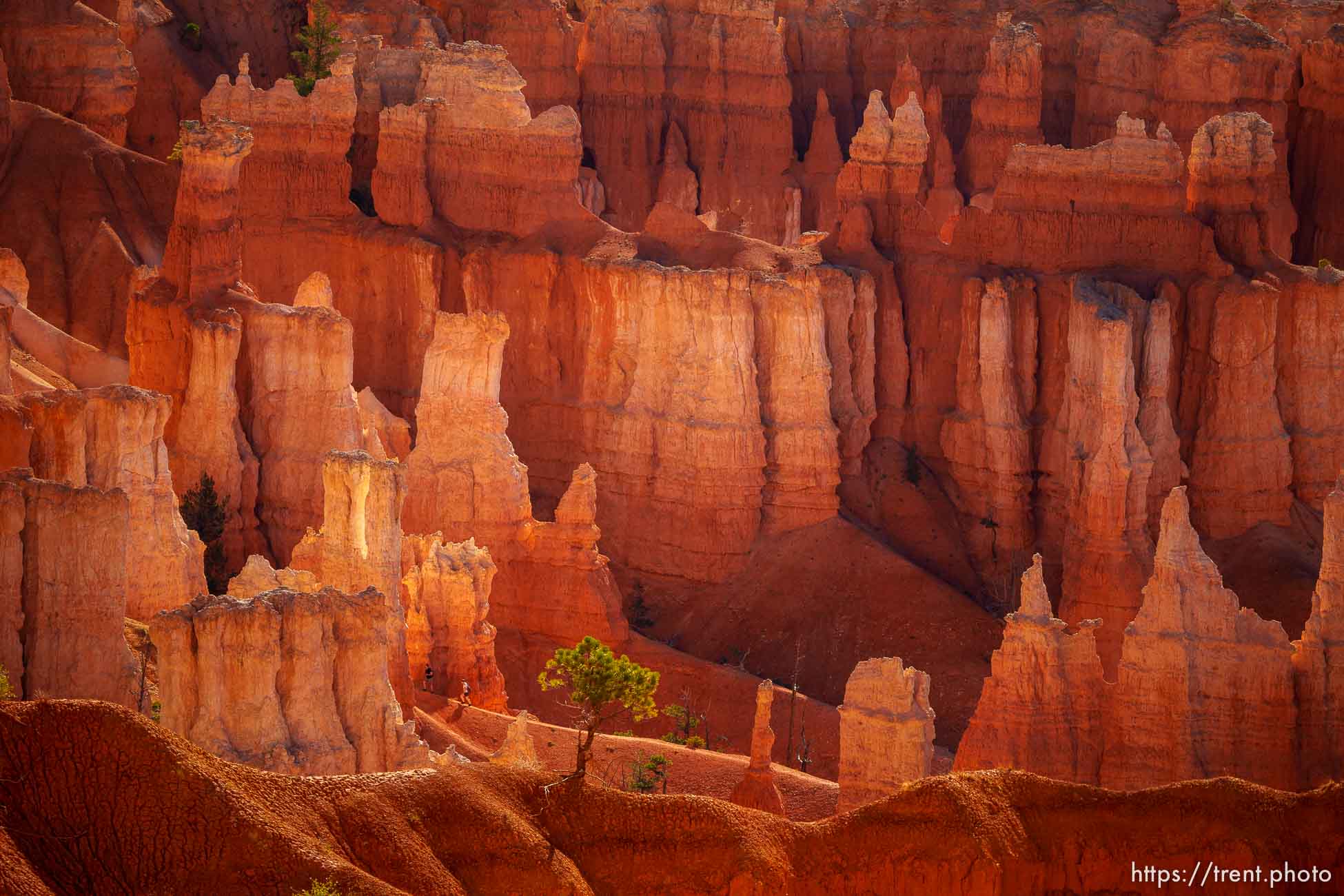 Bryce Canyon National Park on Sunday, July 31, 2022.