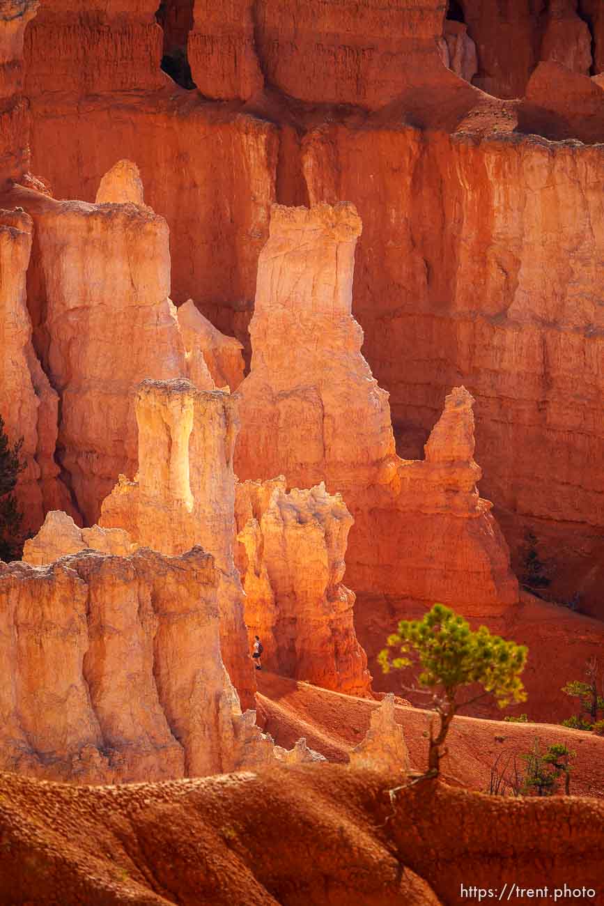 Bryce Canyon National Park on Sunday, July 31, 2022.