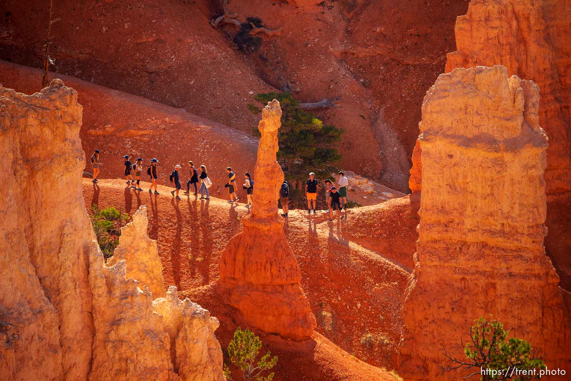 Bryce Canyon National Park on Sunday, July 31, 2022.