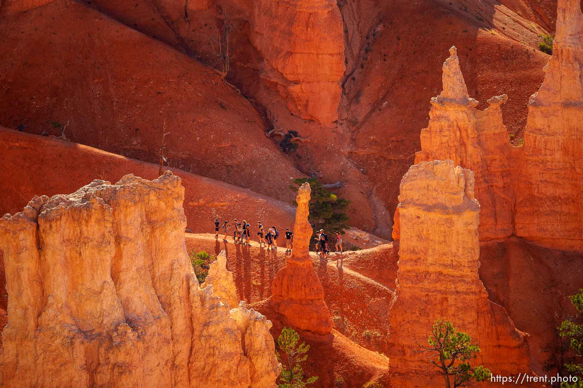 Bryce Canyon National Park on Sunday, July 31, 2022.