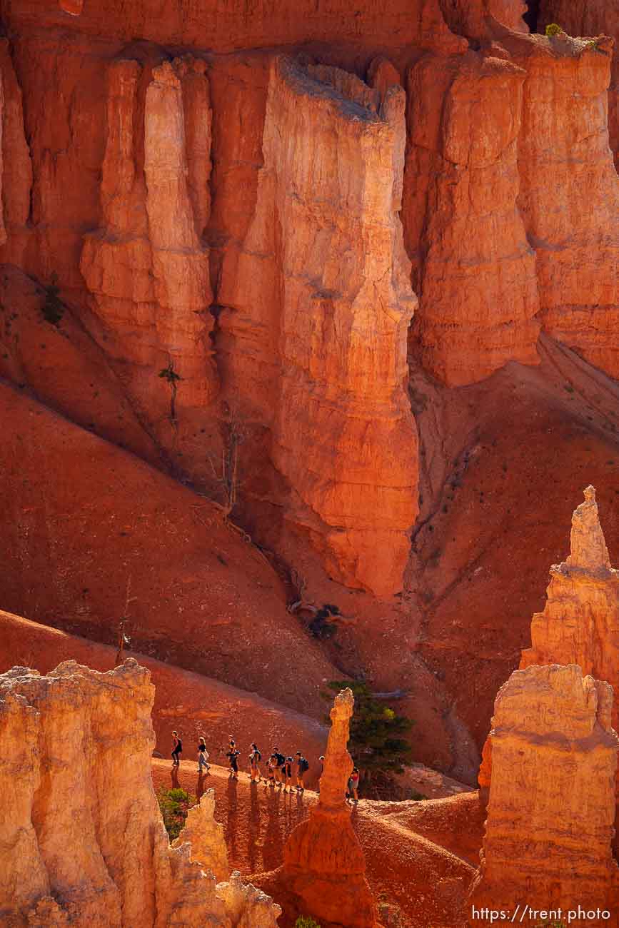 Bryce Canyon National Park on Sunday, July 31, 2022.