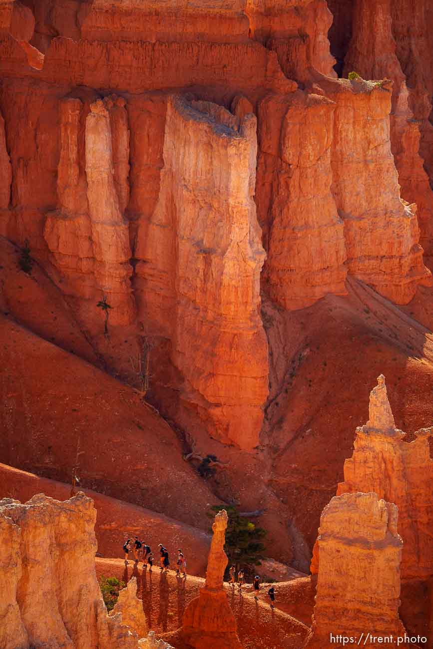 Bryce Canyon National Park on Sunday, July 31, 2022.