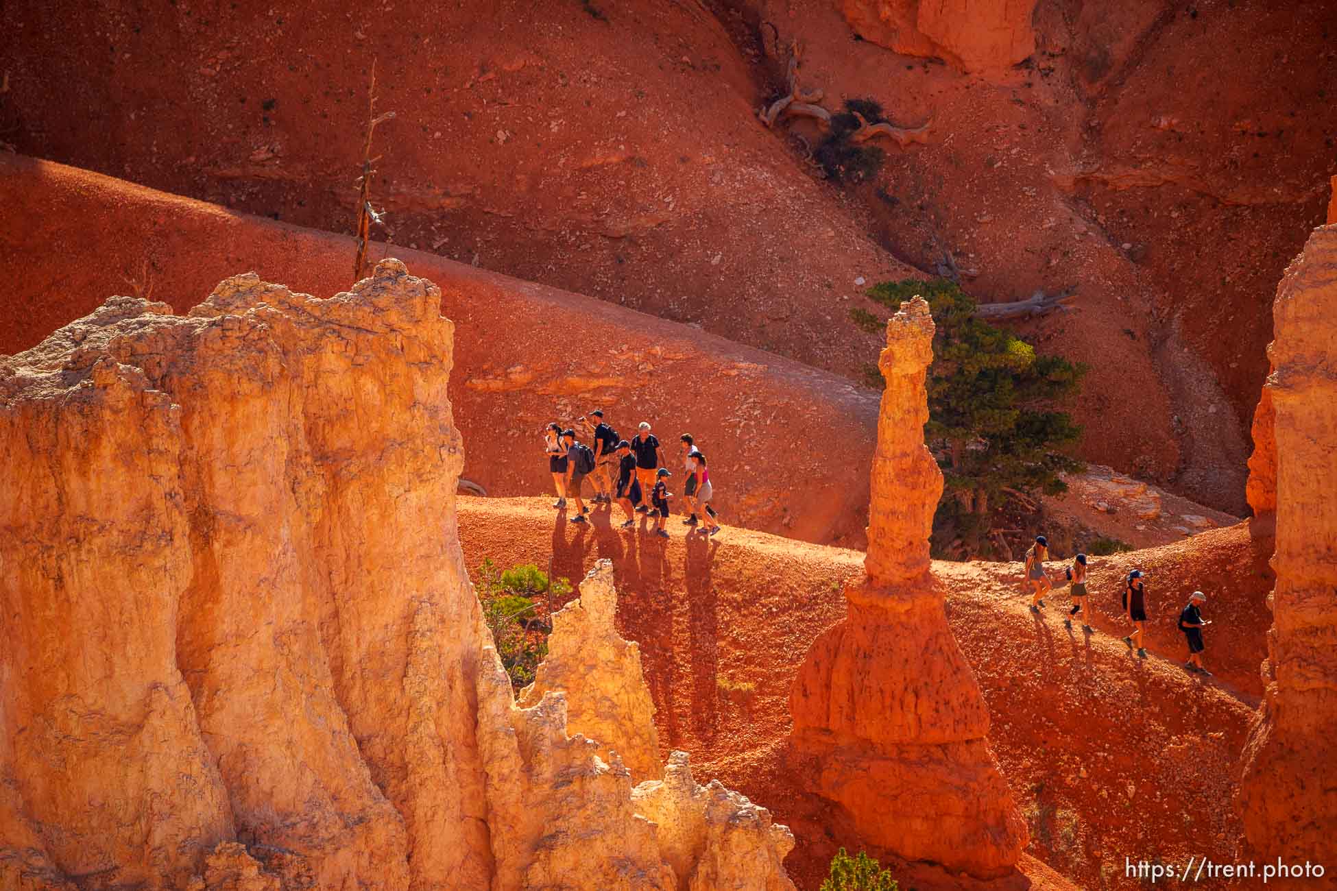 Bryce Canyon National Park on Sunday, July 31, 2022.