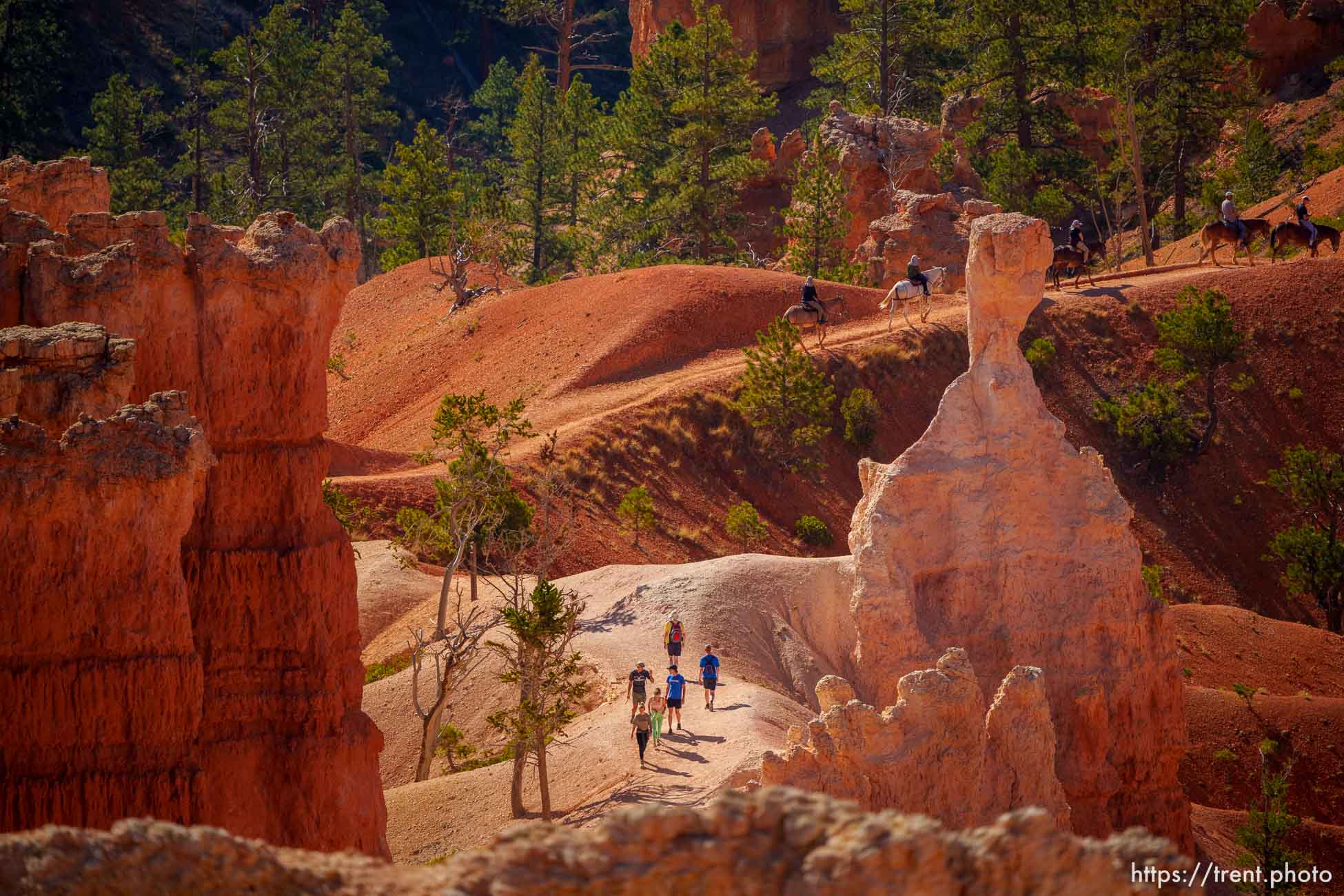 Bryce Canyon National Park on Sunday, July 31, 2022.