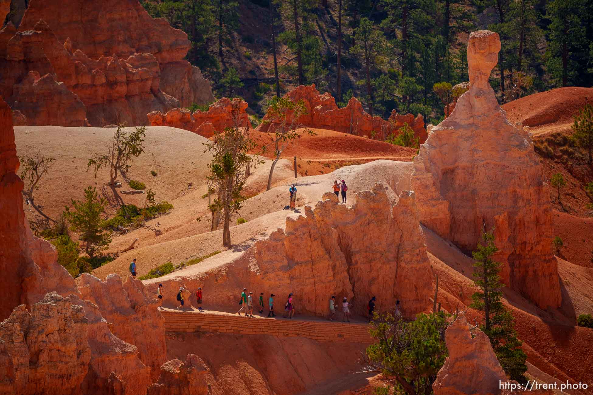 Bryce Canyon National Park on Sunday, July 31, 2022.