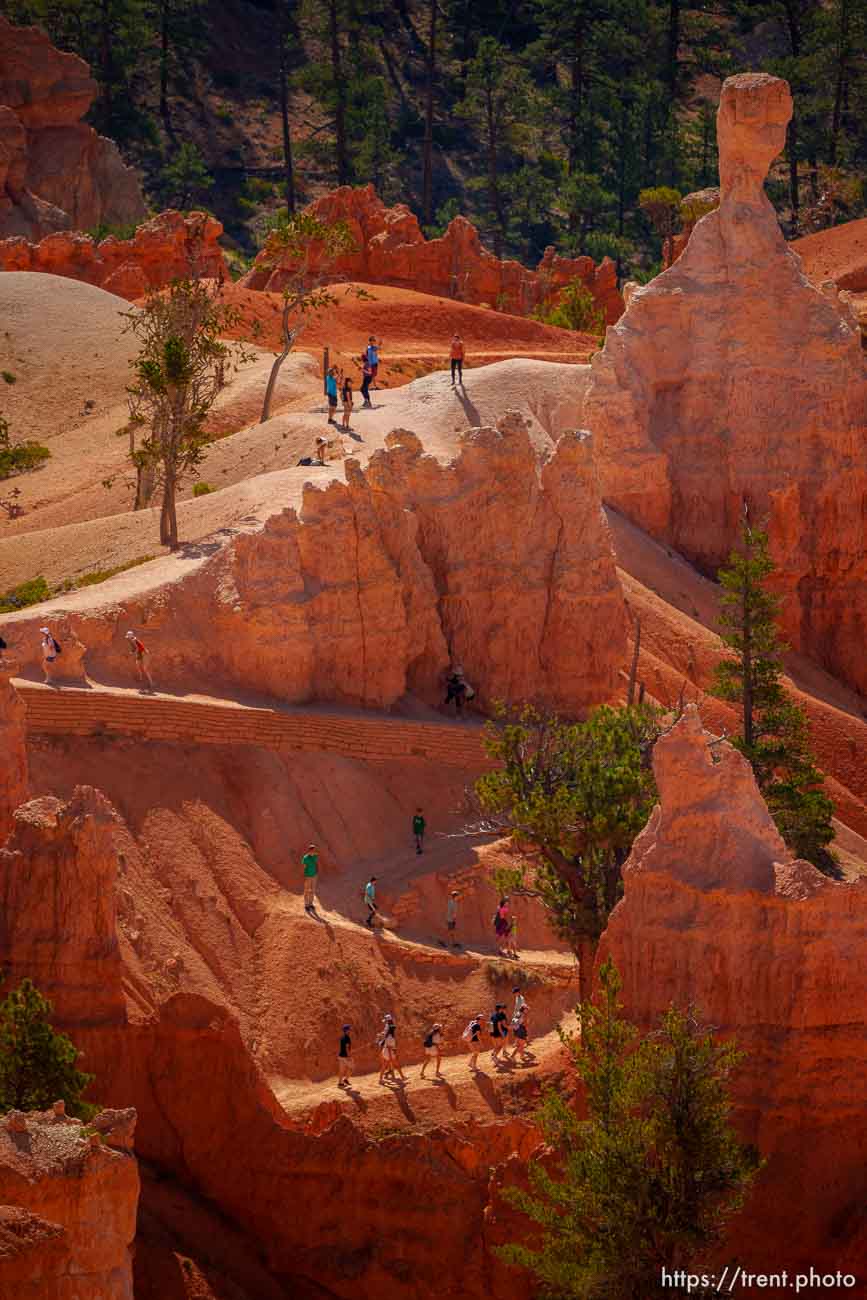 Bryce Canyon National Park on Sunday, July 31, 2022.