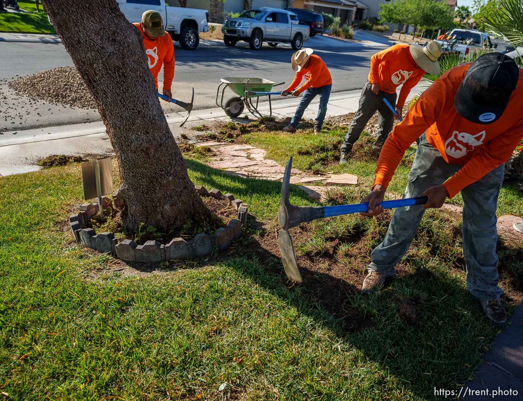 (Trent Nelson  |  The Salt Lake Tribune) Workers with Foxtail Turf remove the grass from Patricia Council's North Las Vegas yard, replacing it with artificial turf on Thursday, Sept. 29, 2022.